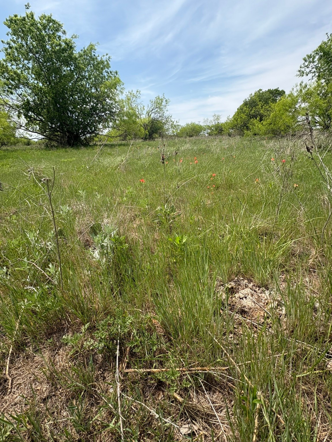 Tbd Causeway Road Jacksboro TX 76458