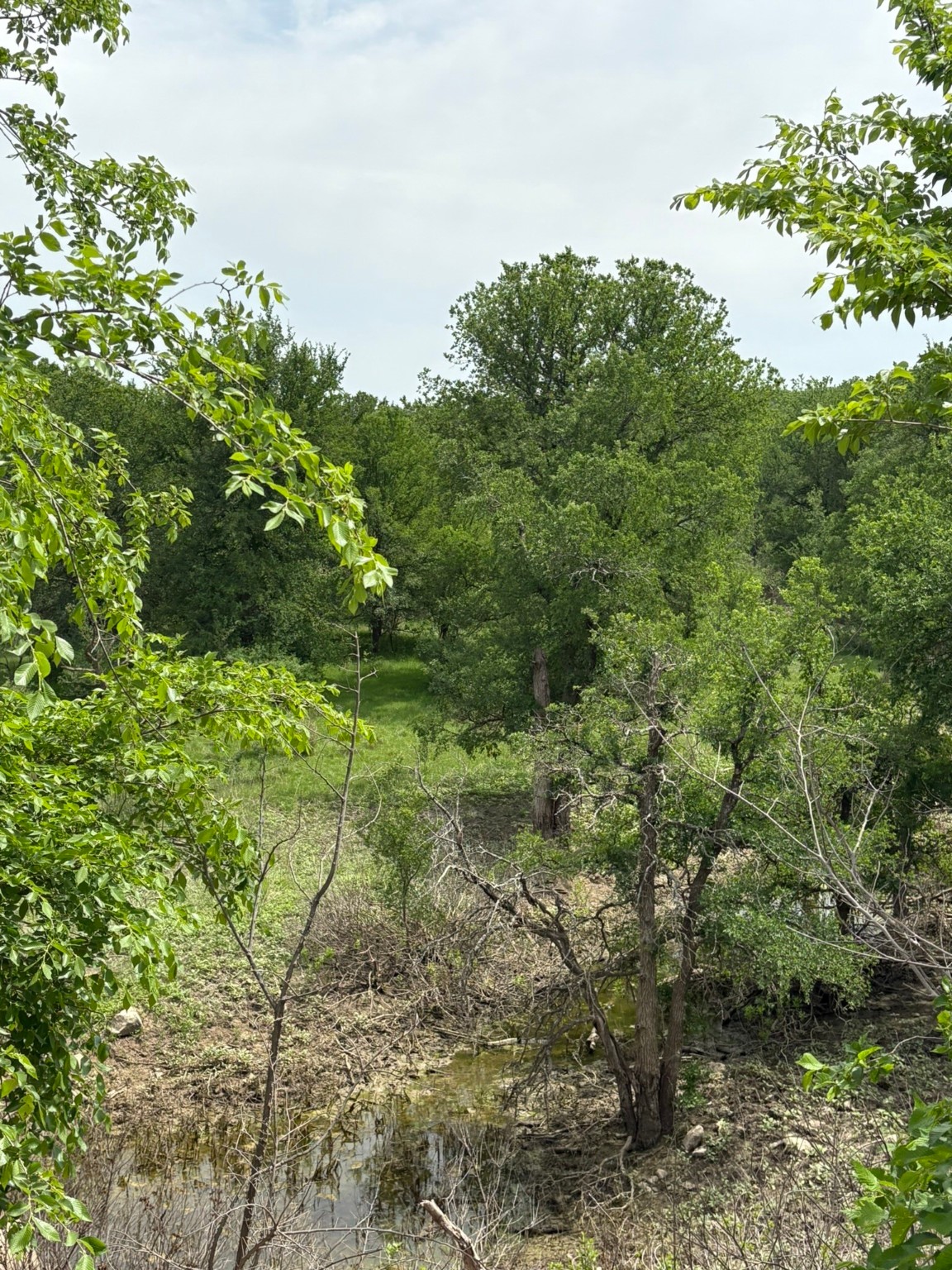 Tbd Causeway Road Jacksboro TX 76458