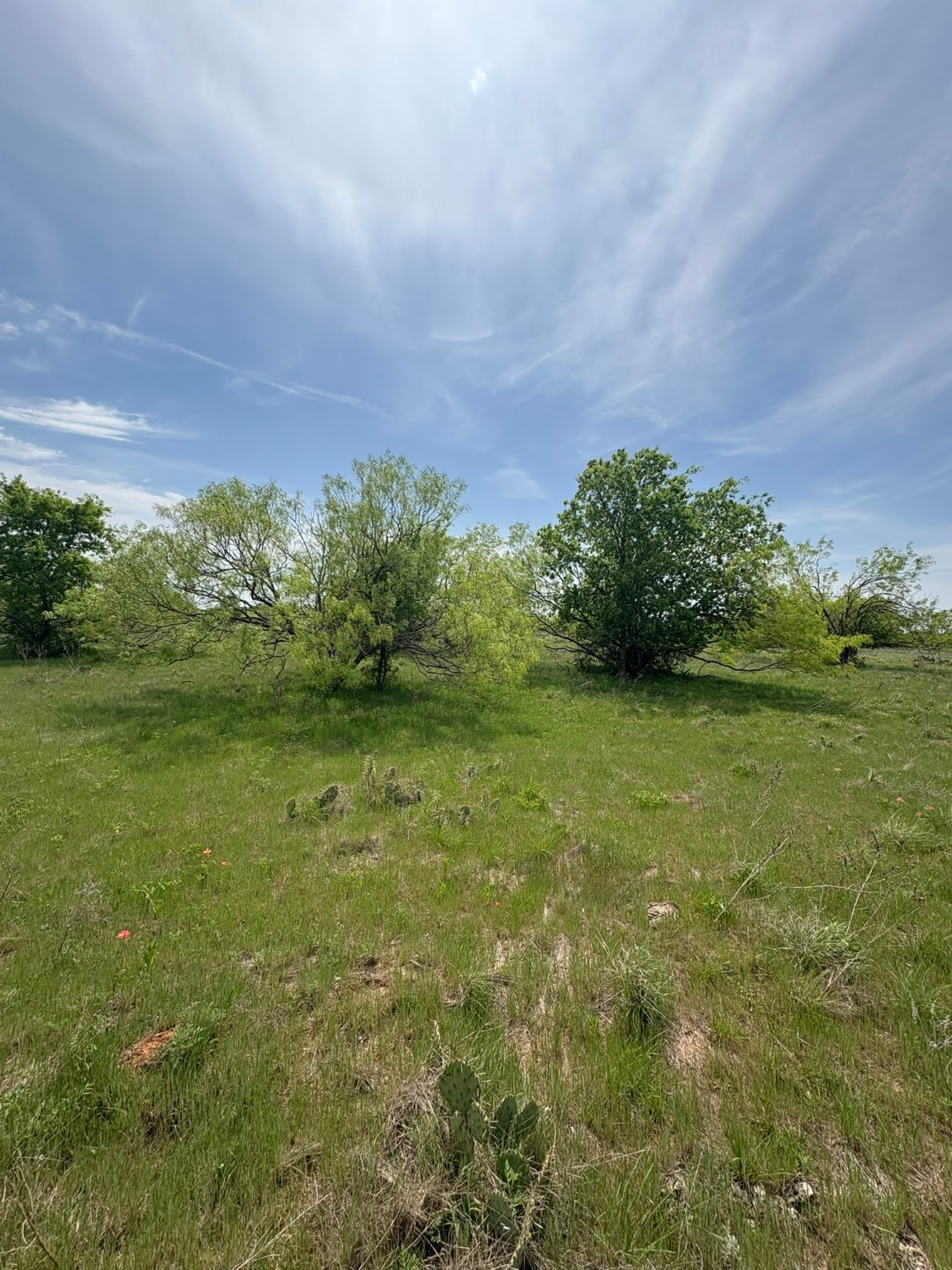 Tbd Causeway Road Jacksboro TX 76458