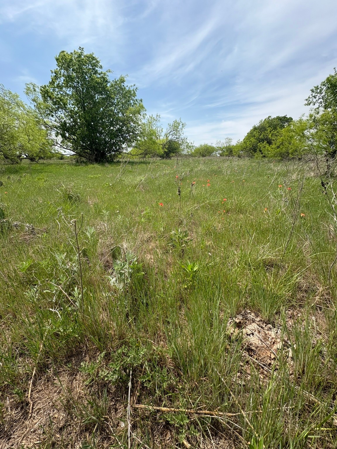 Tbd Causeway Road Jacksboro TX 76458