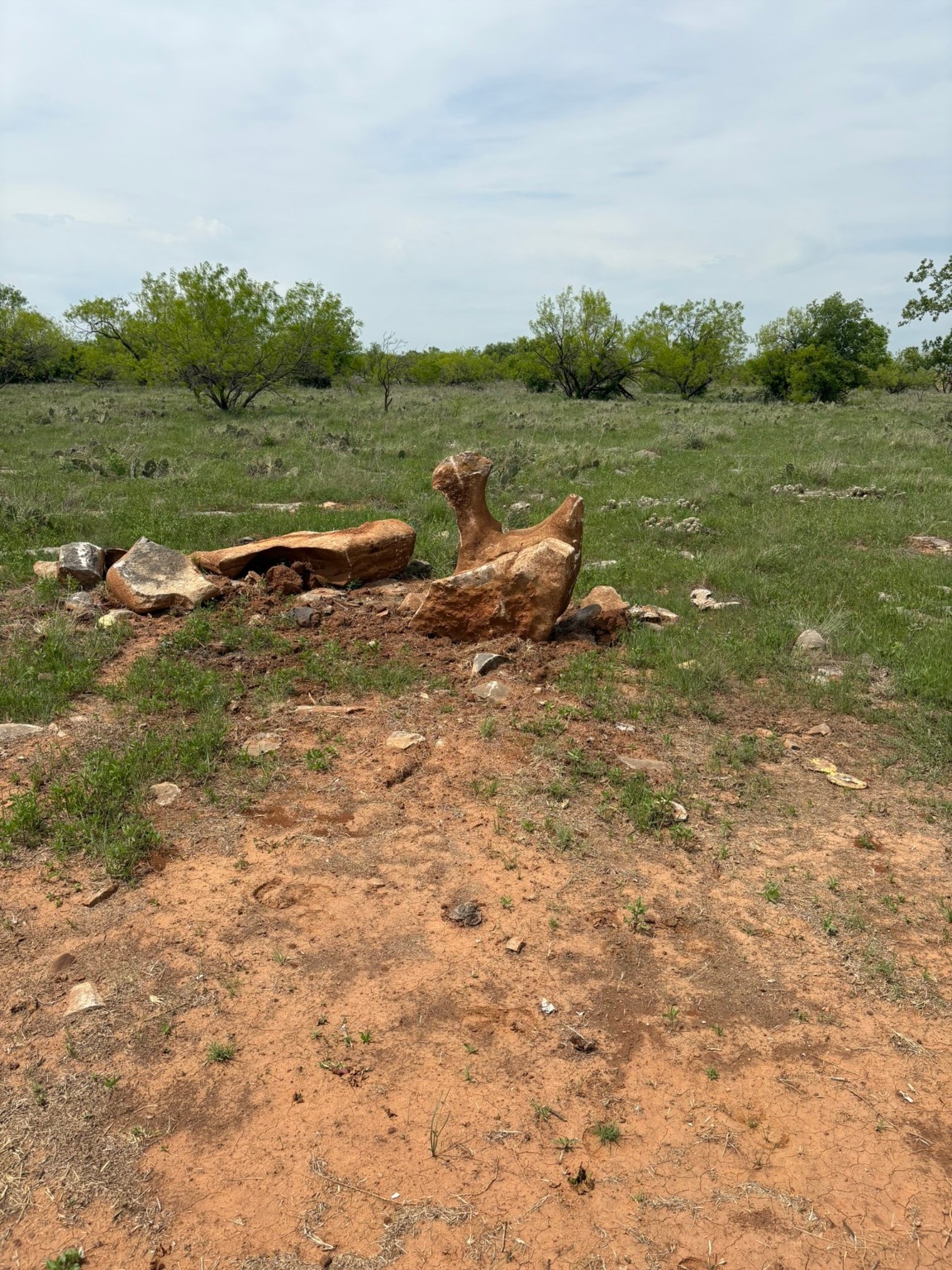 Tbd Causeway Road Jacksboro TX 76458