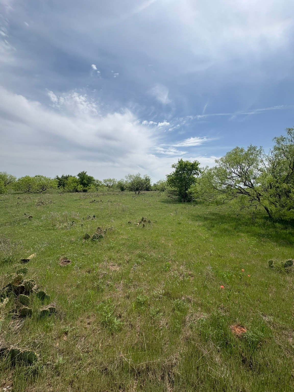 Tbd Causeway Road Jacksboro TX 76458