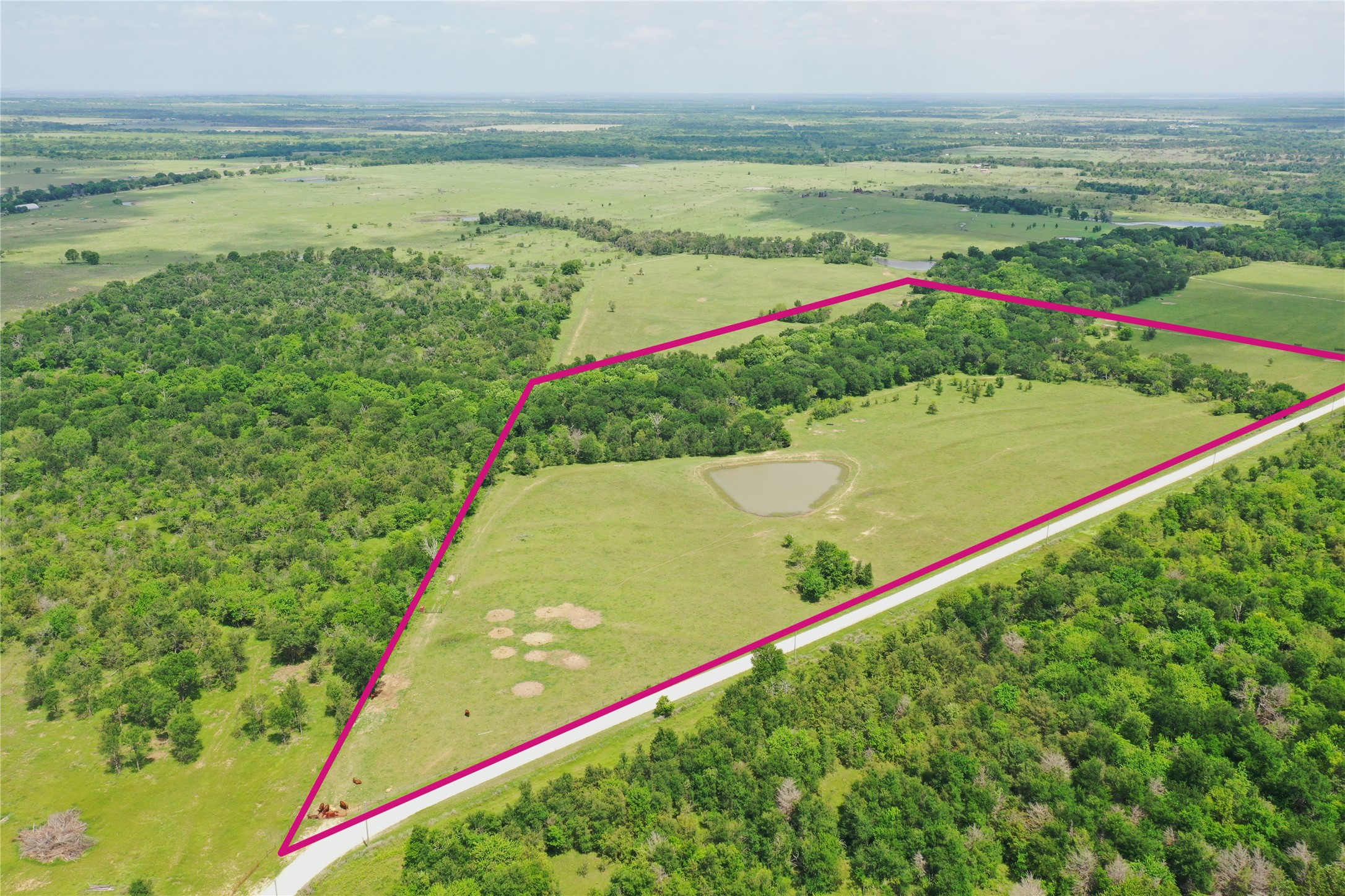 Tbd Fcr 1000 Road Wortham TX 76693
