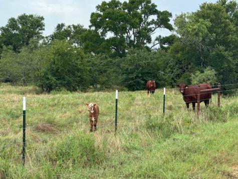 Tbd Fcr 1000 Road Wortham TX 76693