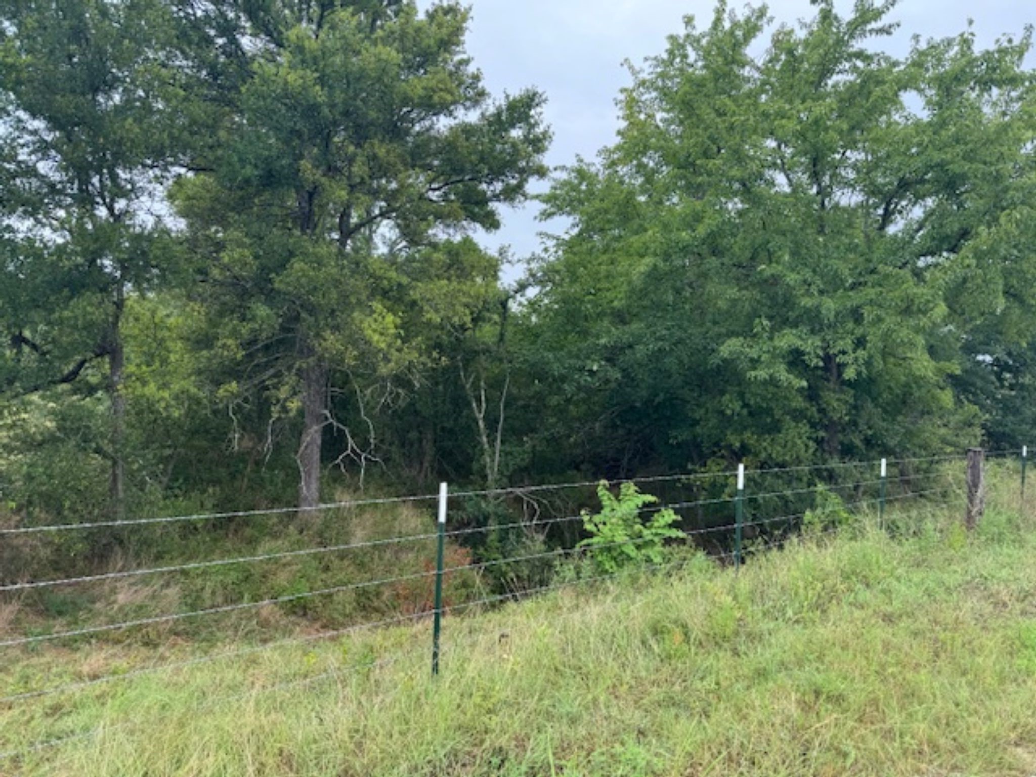 Tbd Fcr 1000 Road Wortham TX 76693
