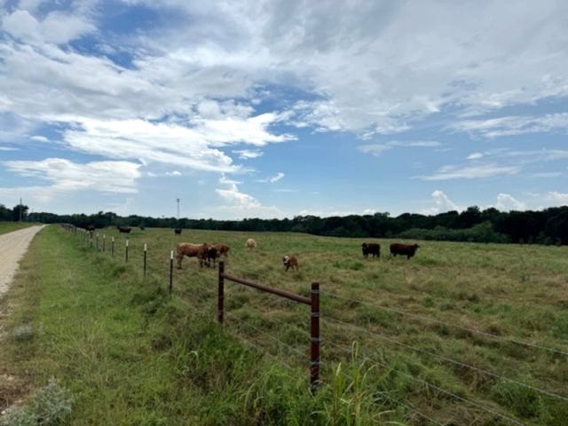 Tbd Fcr 1000 Road Wortham TX 76693