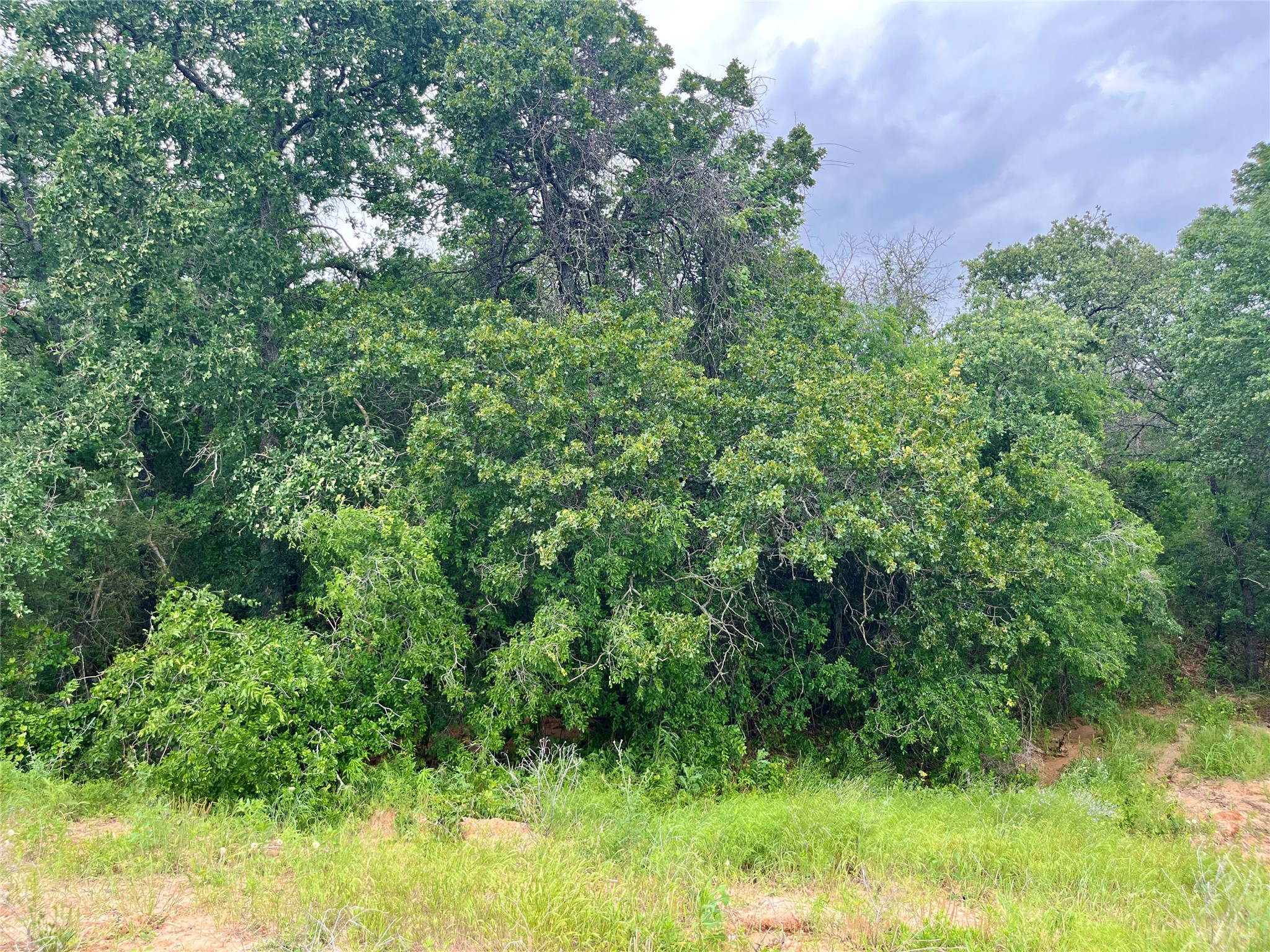 Lot 18 Kilkenny Poolville TX 76487