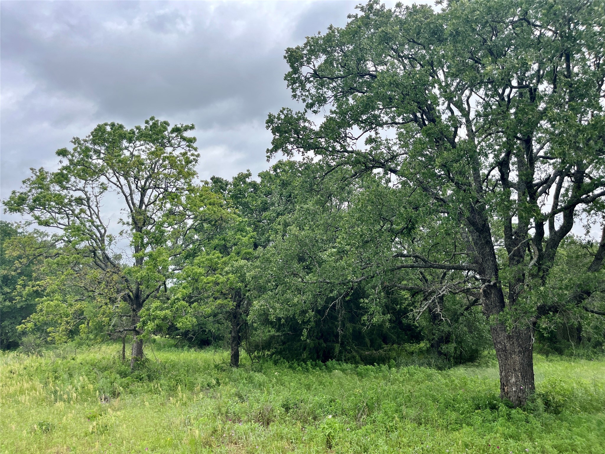 Lot 18 Kilkenny Poolville TX 76487