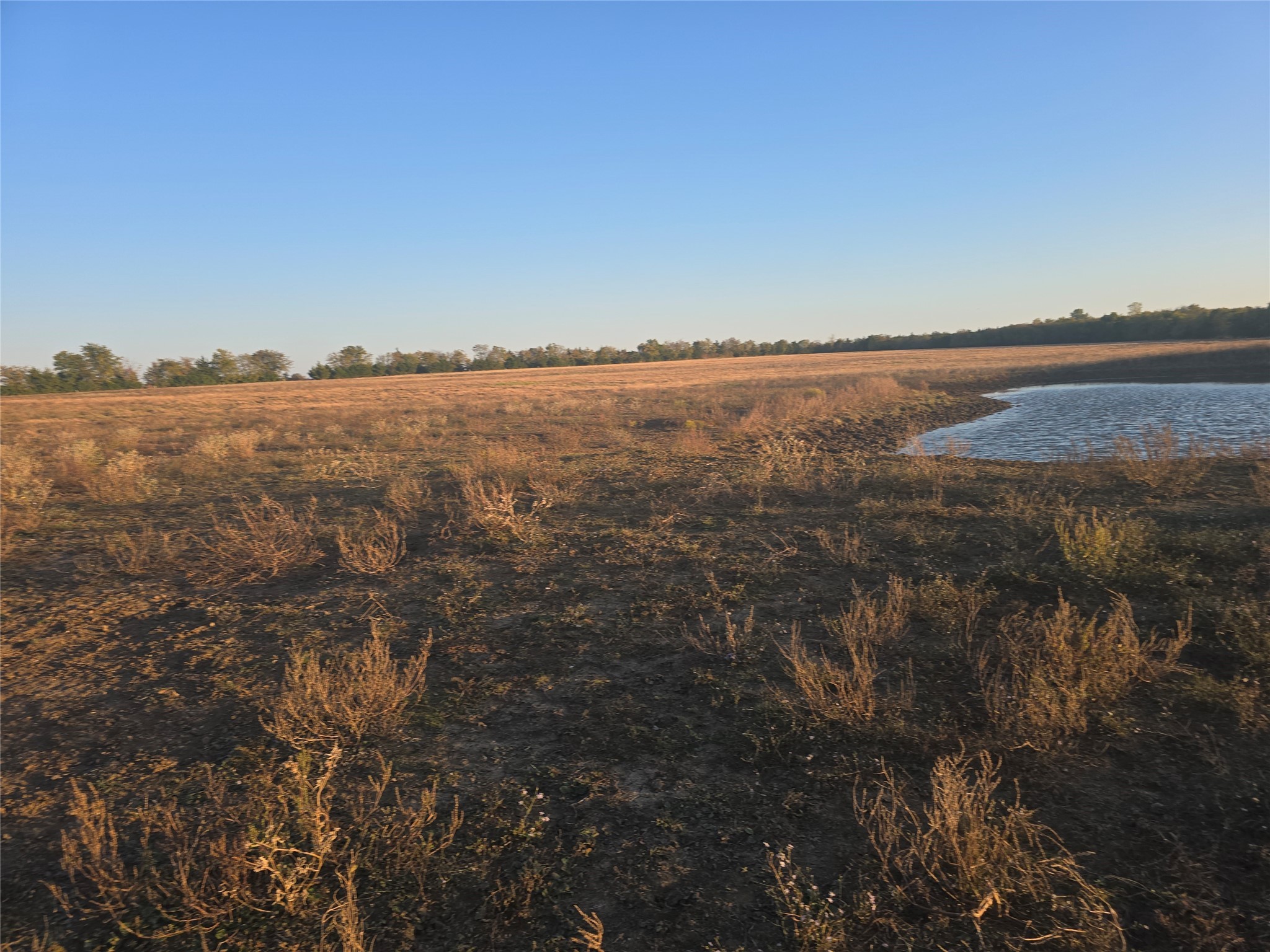 801 County Road 36010 Honey Grove TX 75446