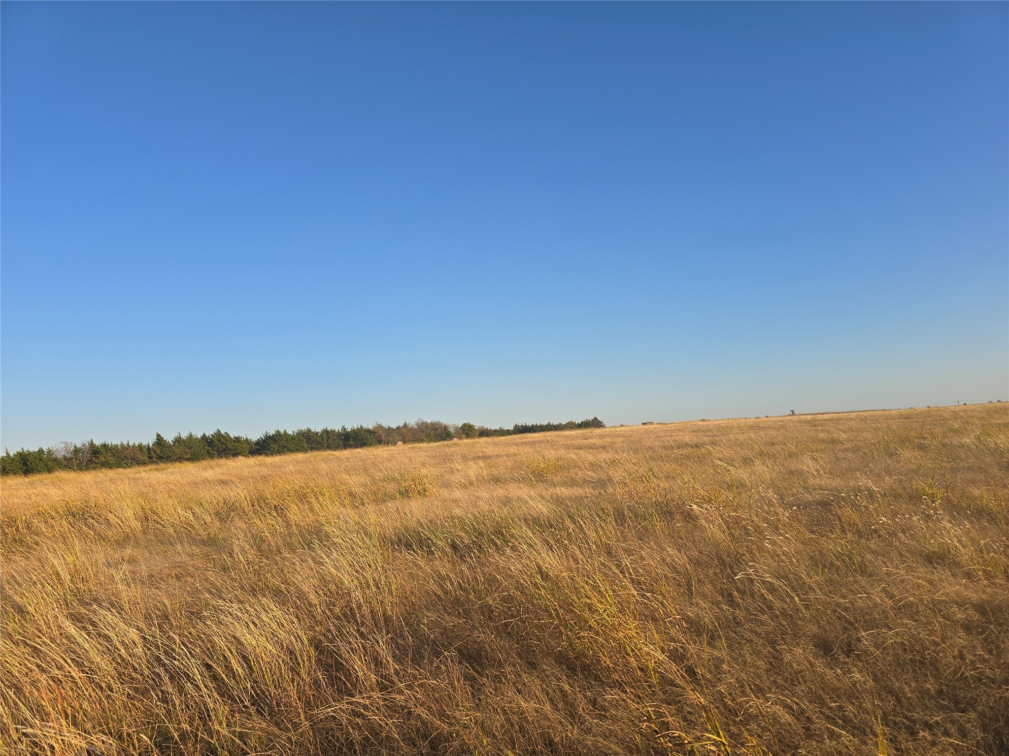 801 County Road 36010 Honey Grove TX 75446