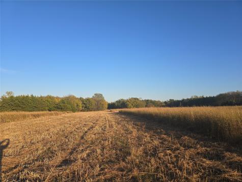 801 County Road 36010 Honey Grove TX 75446