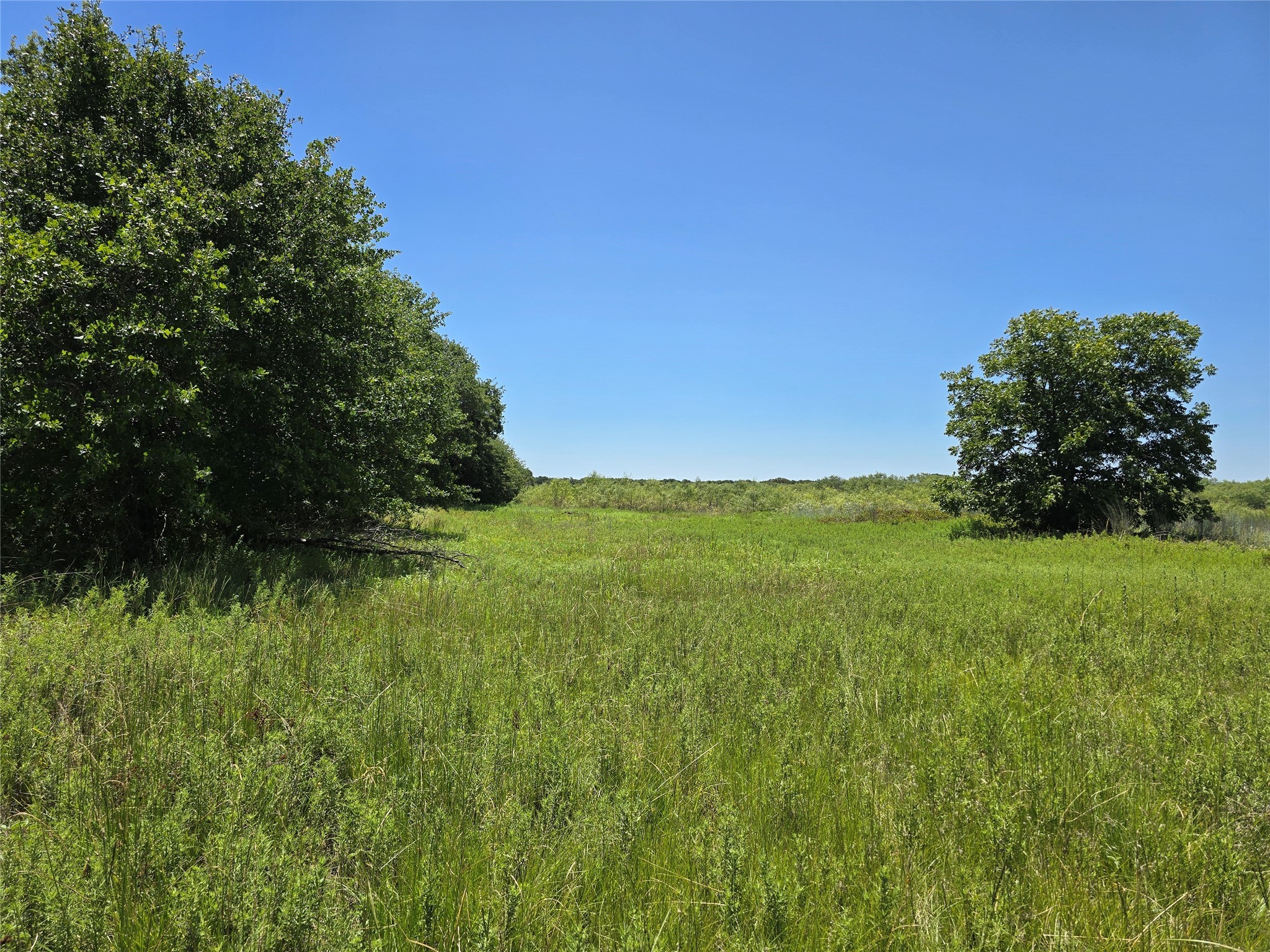 501 County Road 384 No City TX 76442