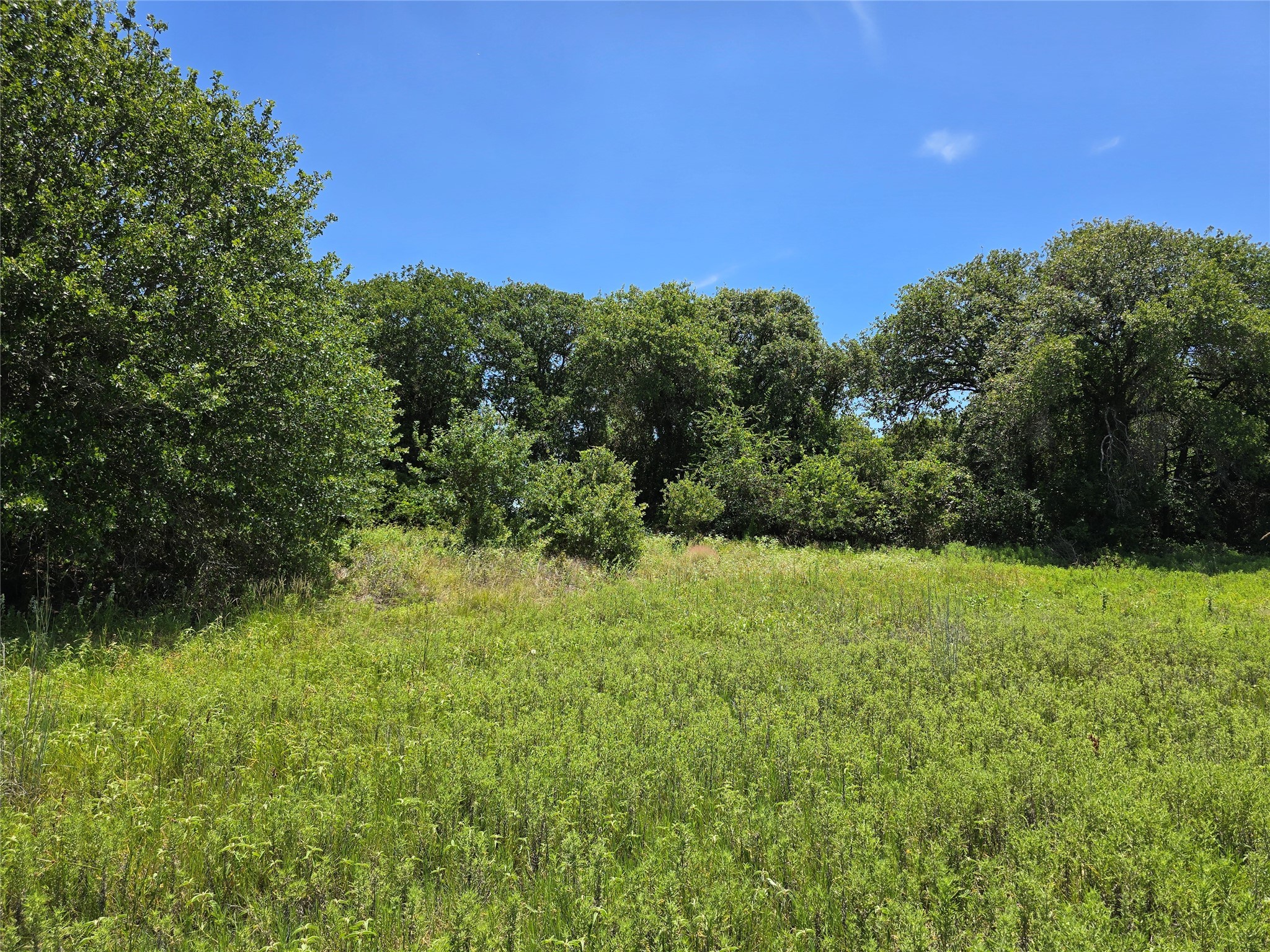 501 County Road 384 No City TX 76442