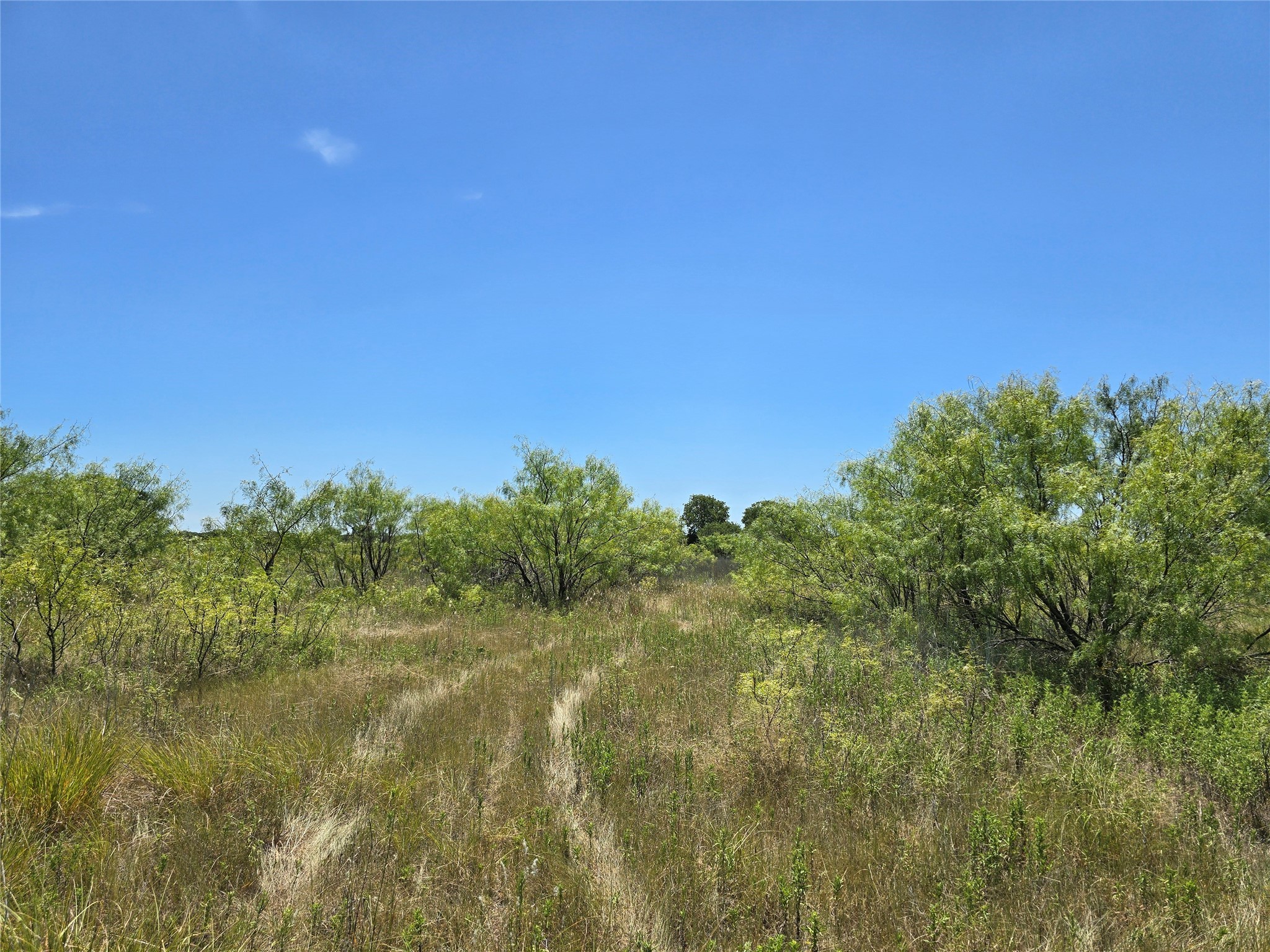 501 County Road 384 No City TX 76442