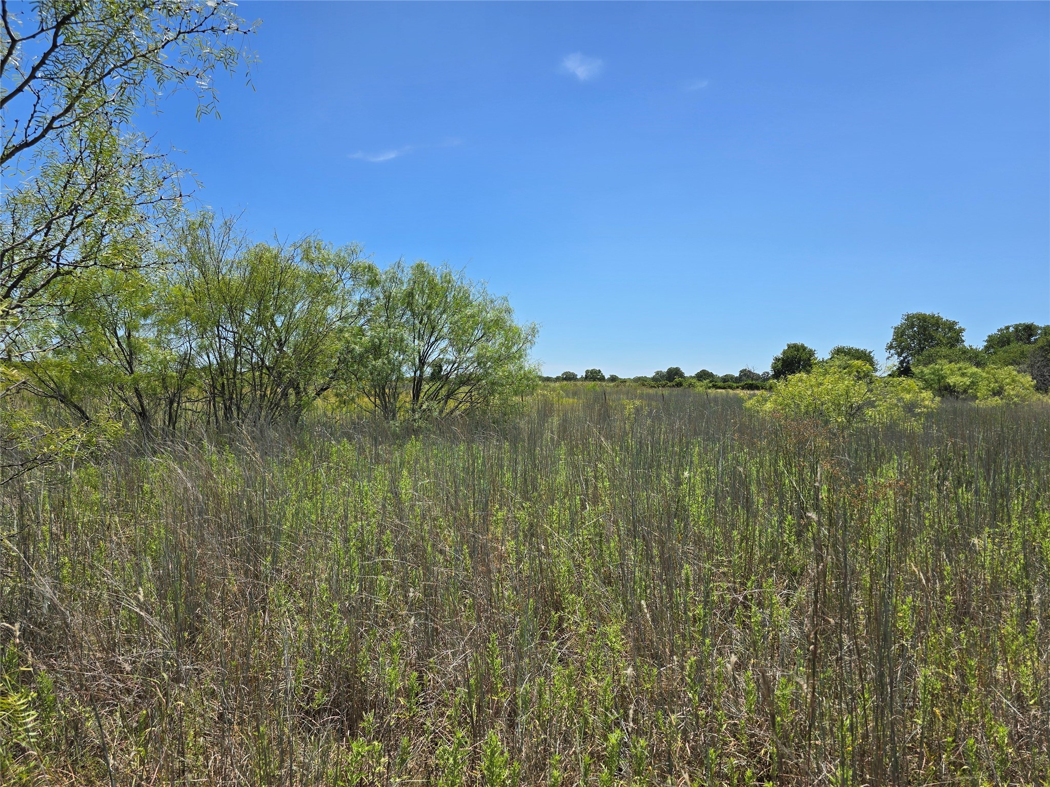 501 County Road 384 No City TX 76442