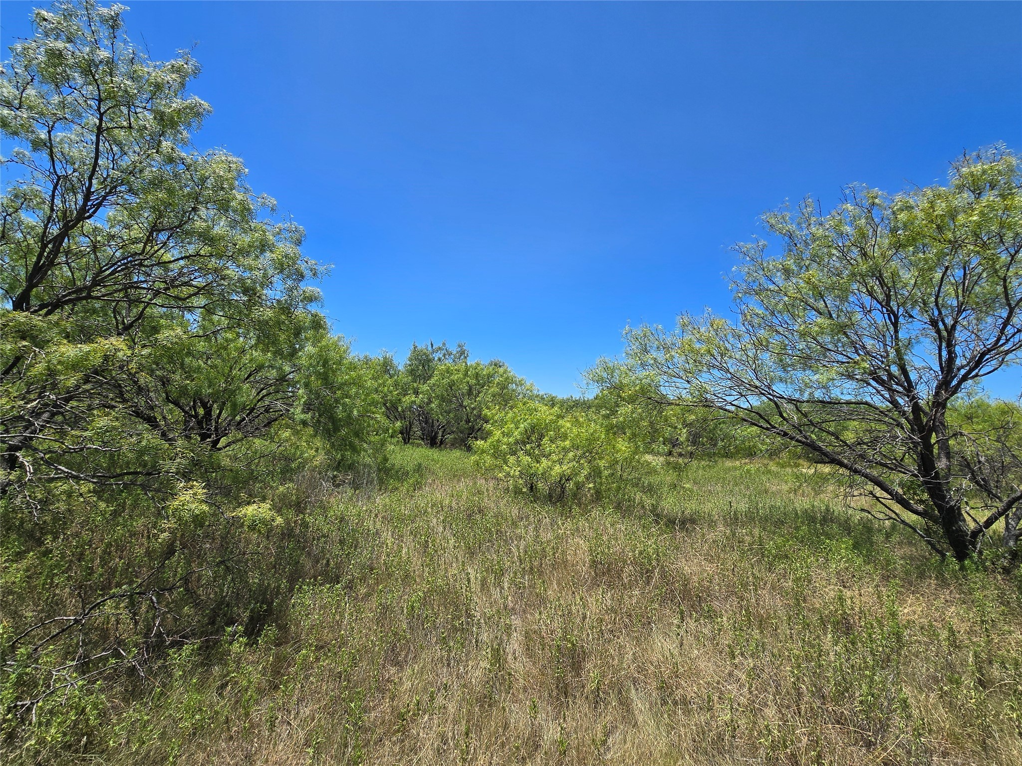 501 County Road 384 No City TX 76442