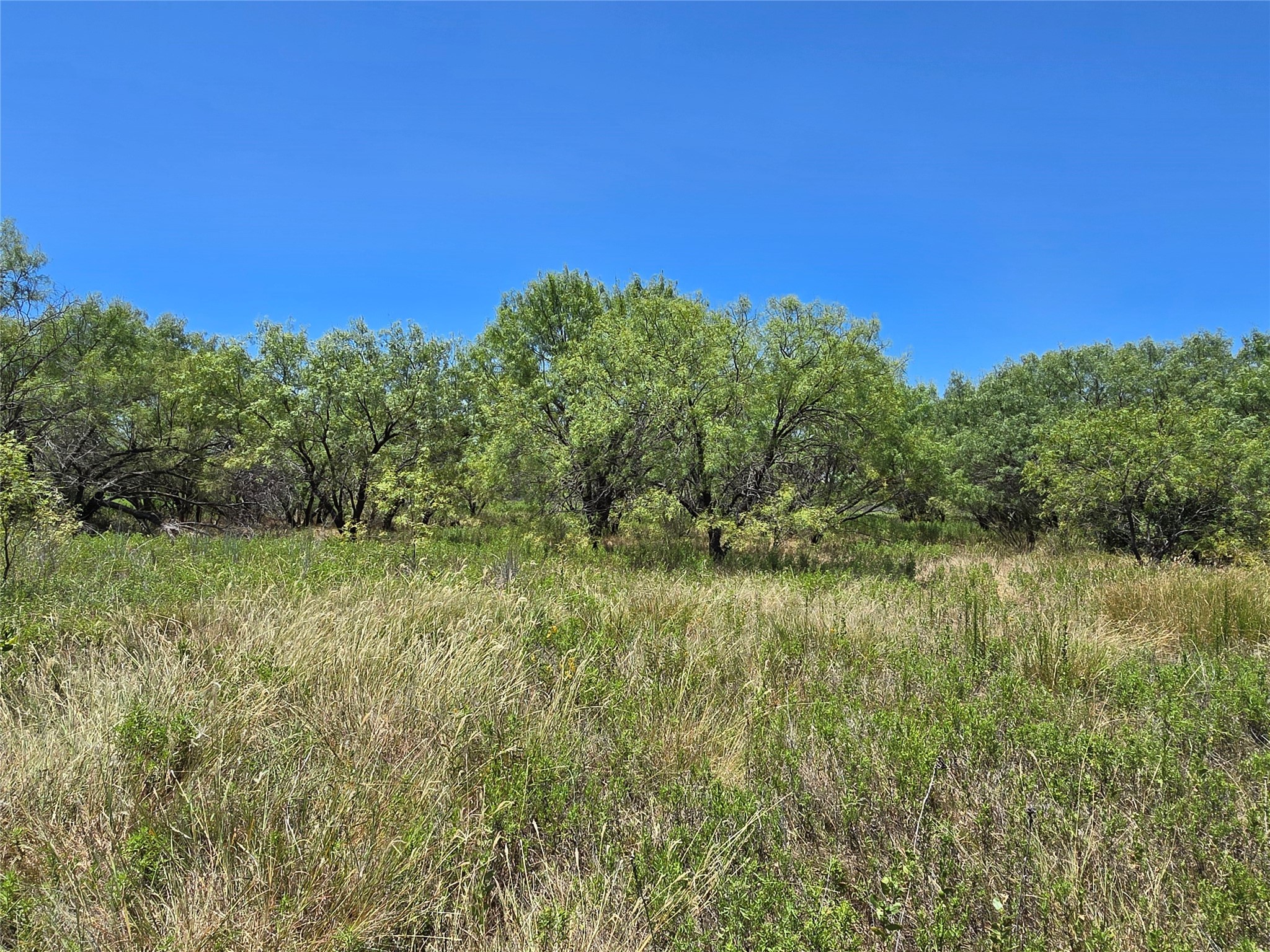 501 County Road 384 No City TX 76442