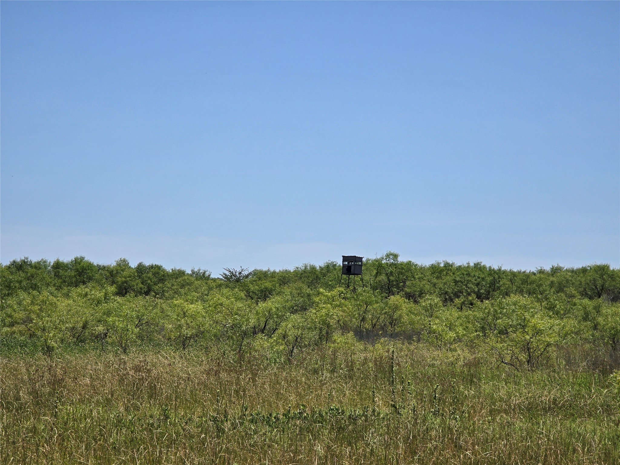 501 County Road 384 No City TX 76442