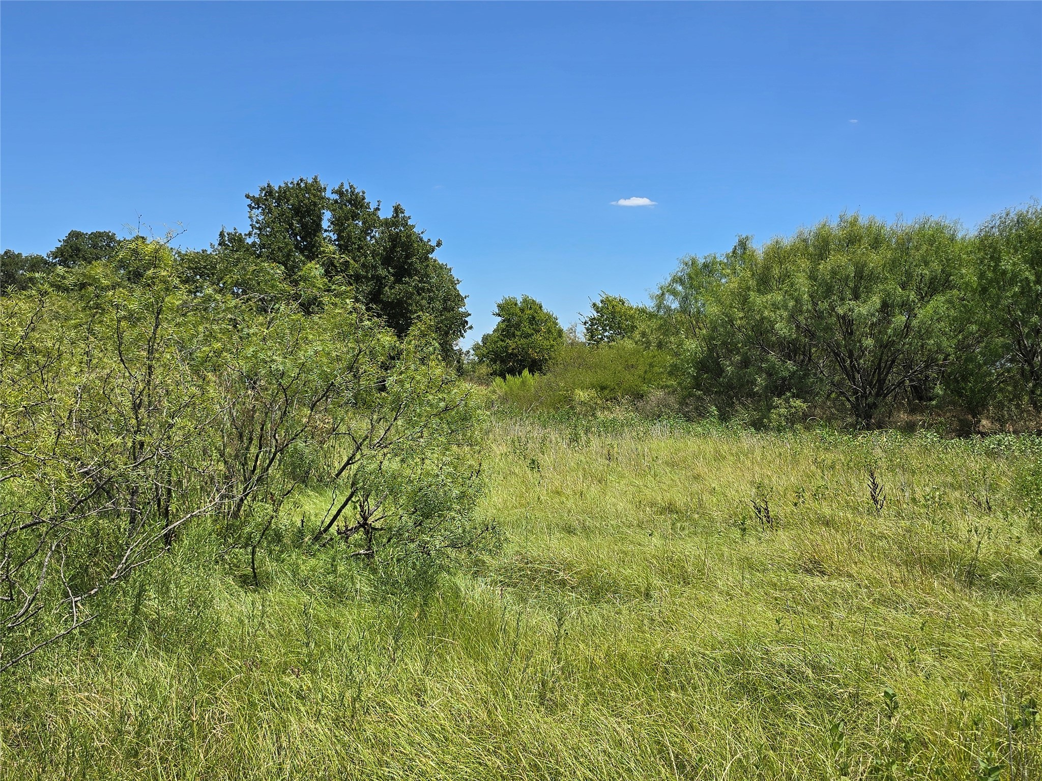 501 County Road 384 No City TX 76442