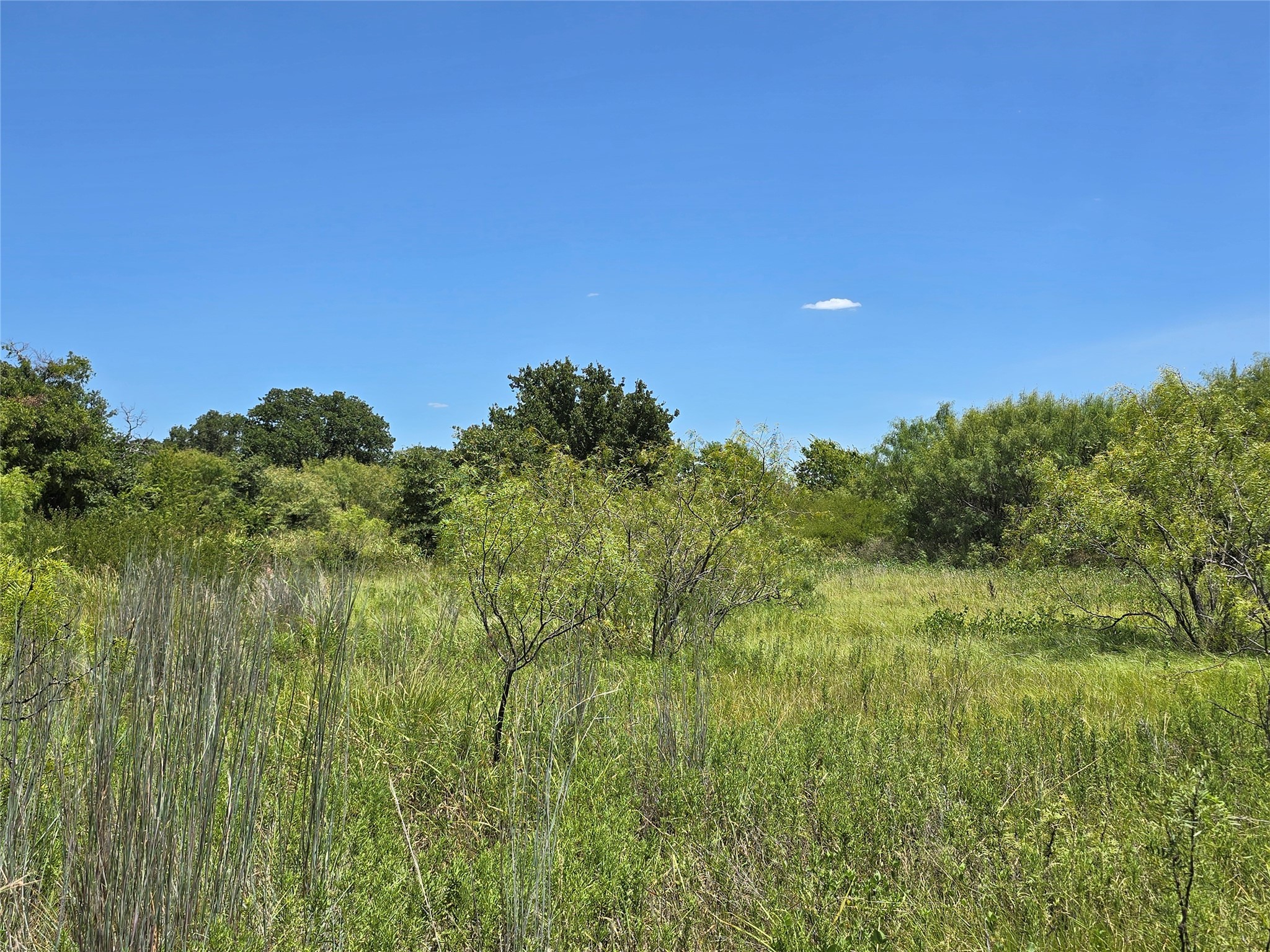 501 County Road 384 No City TX 76442