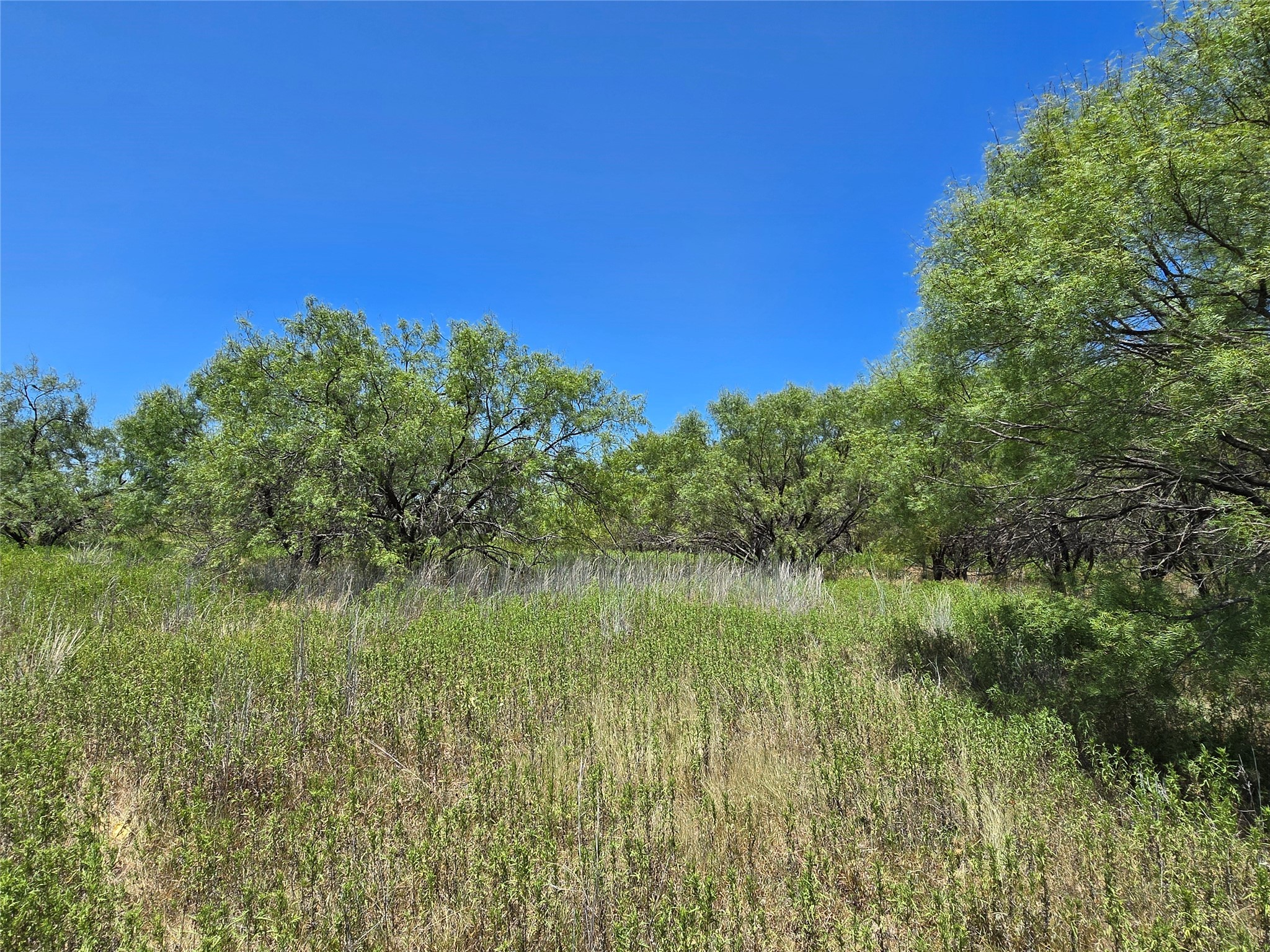 501 County Road 384 No City TX 76442