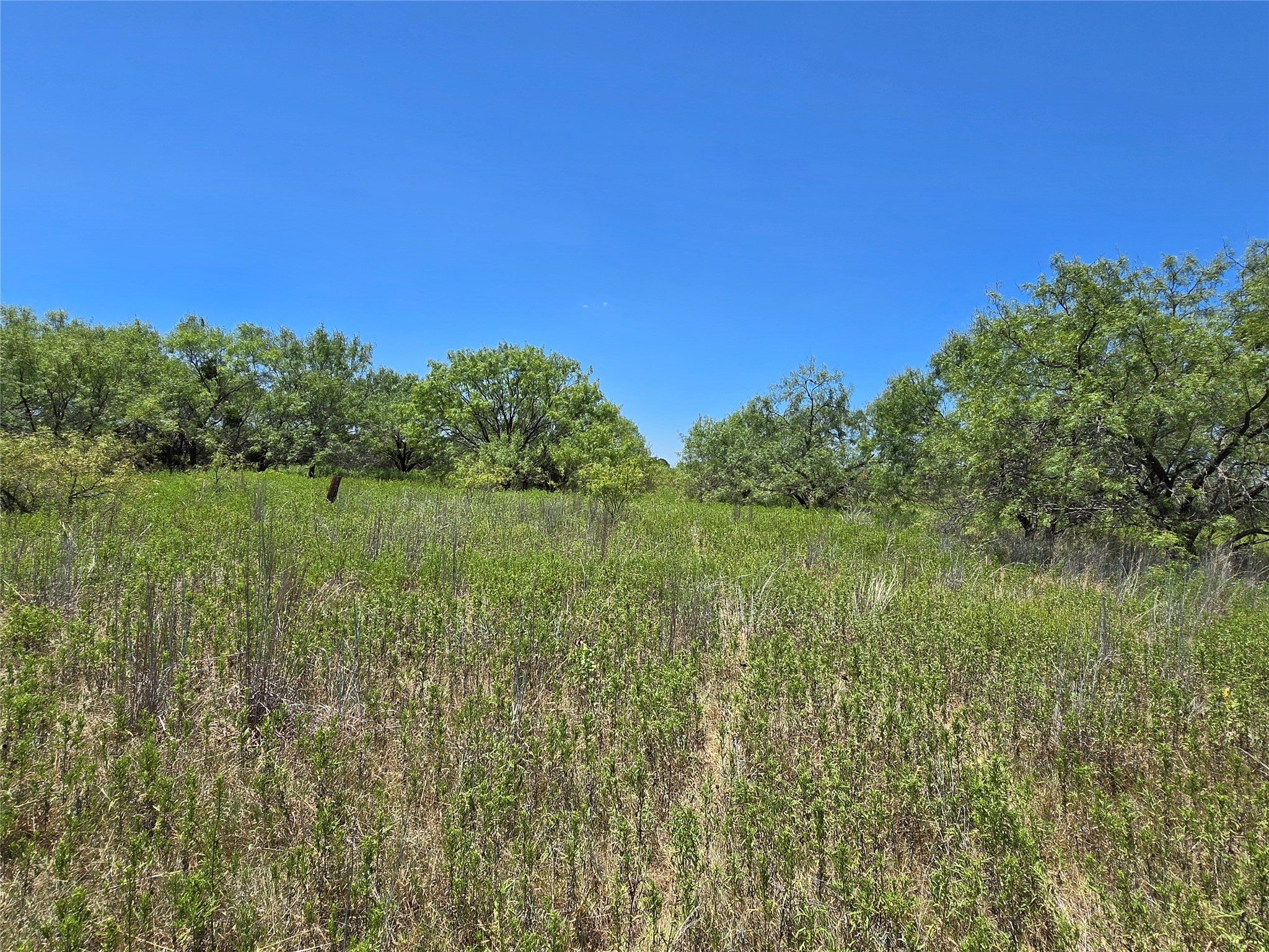 501 County Road 384 No City TX 76442