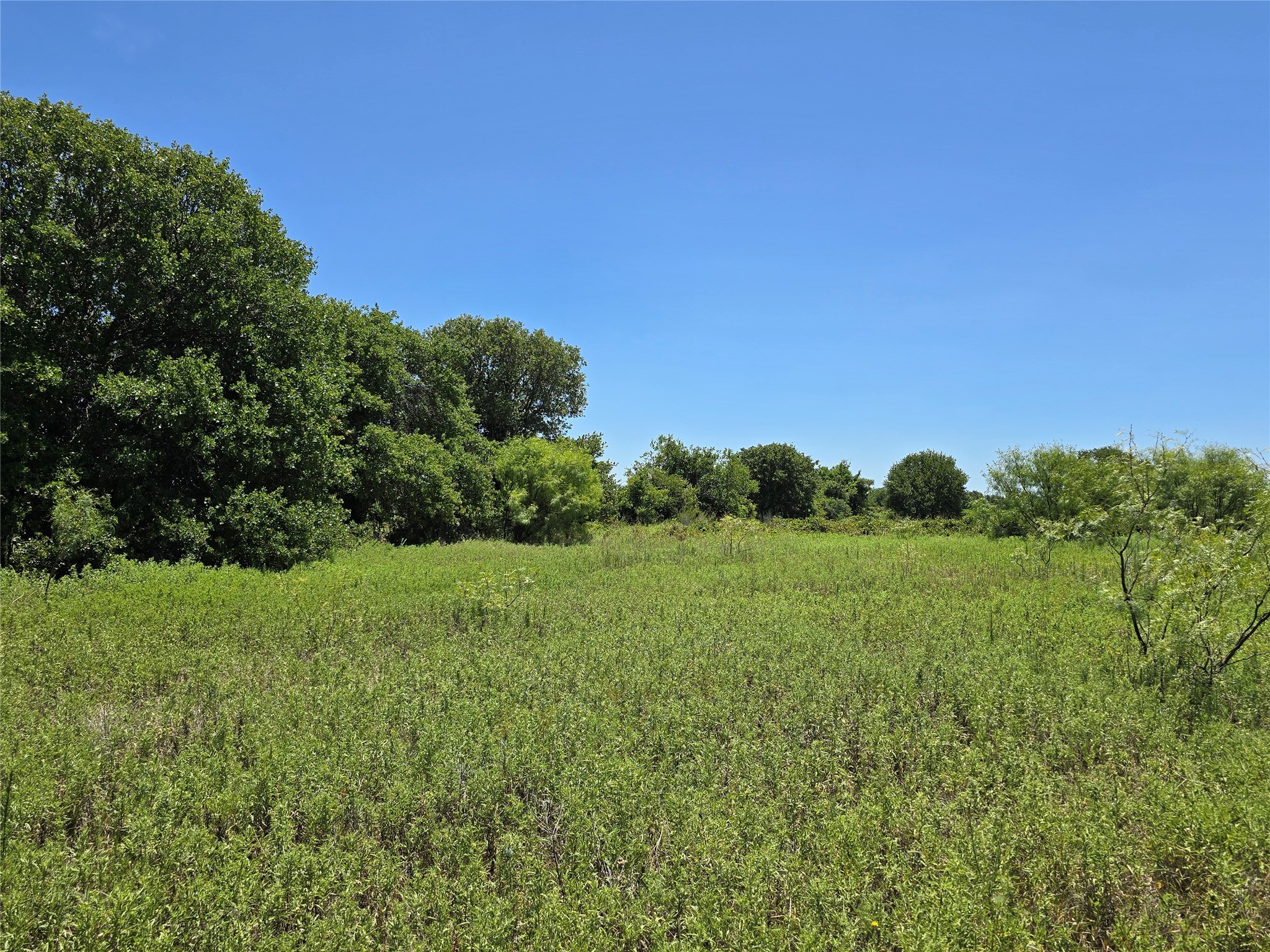 501 County Road 384 No City TX 76442