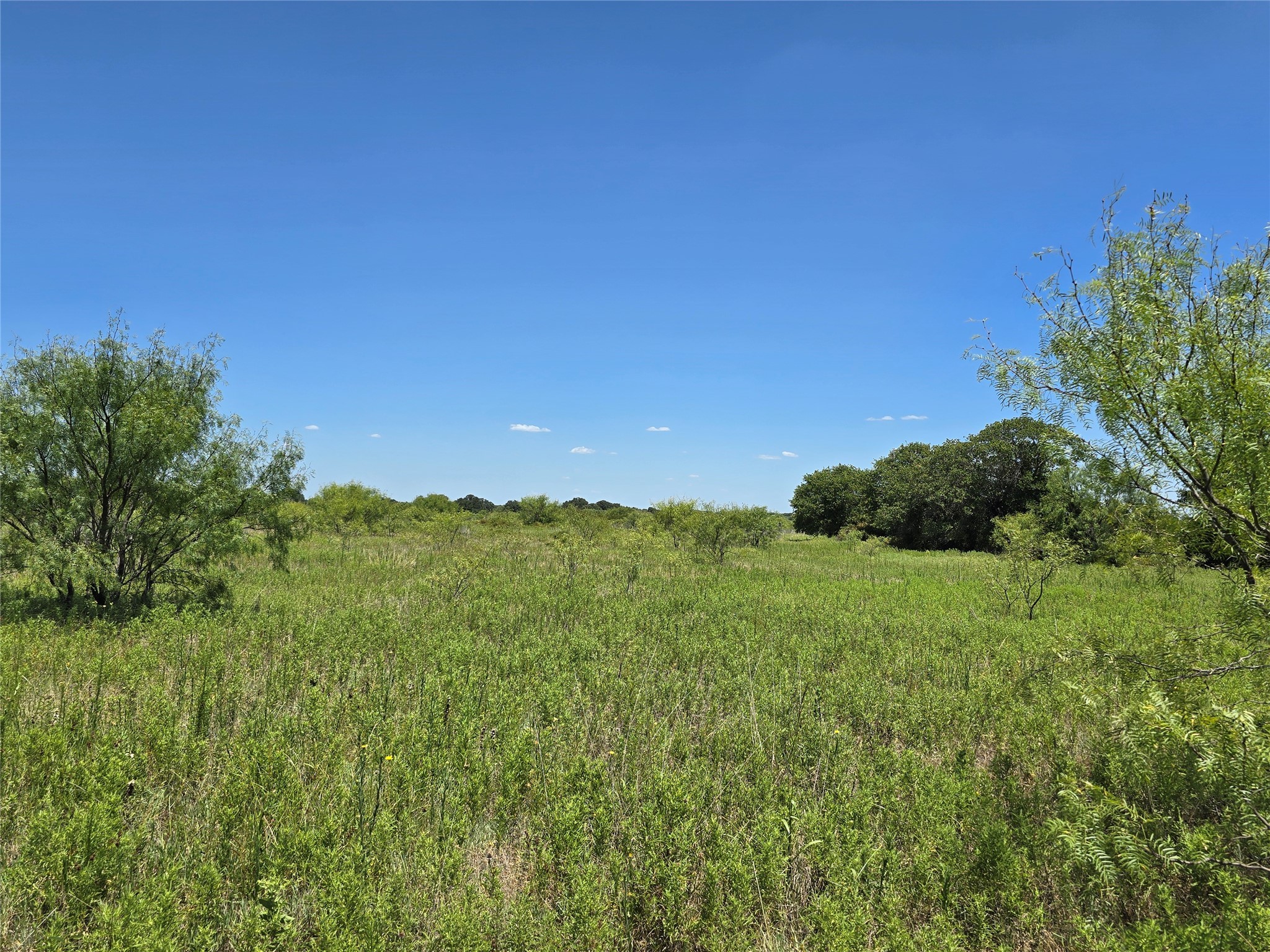 501 County Road 384 No City TX 76442