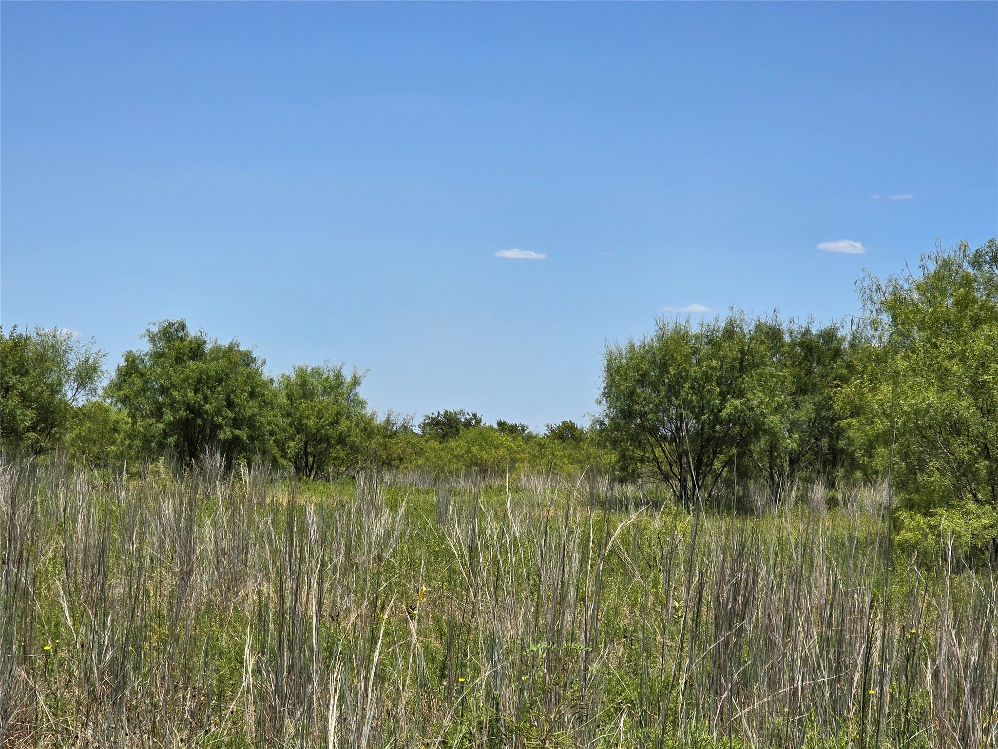 501 County Road 384 No City TX 76442