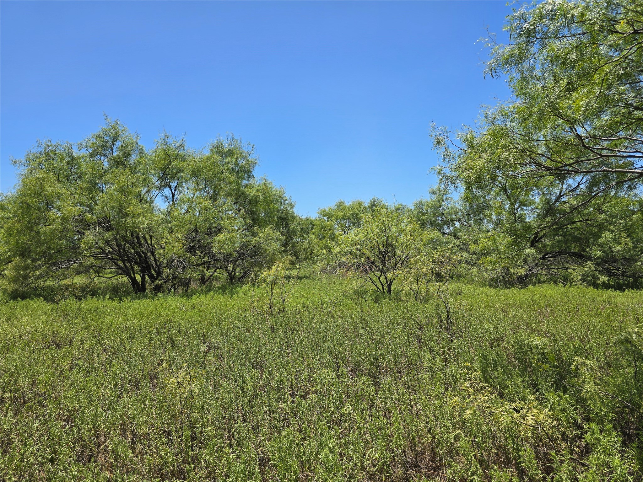 501 County Road 384 No City TX 76442