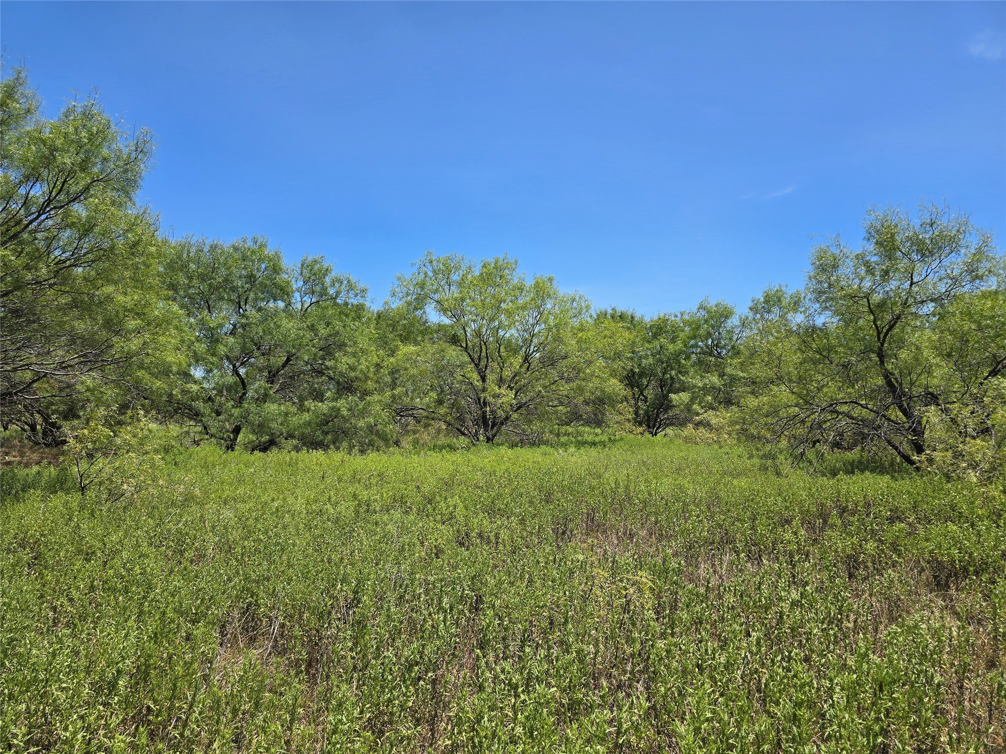 501 County Road 384 No City TX 76442