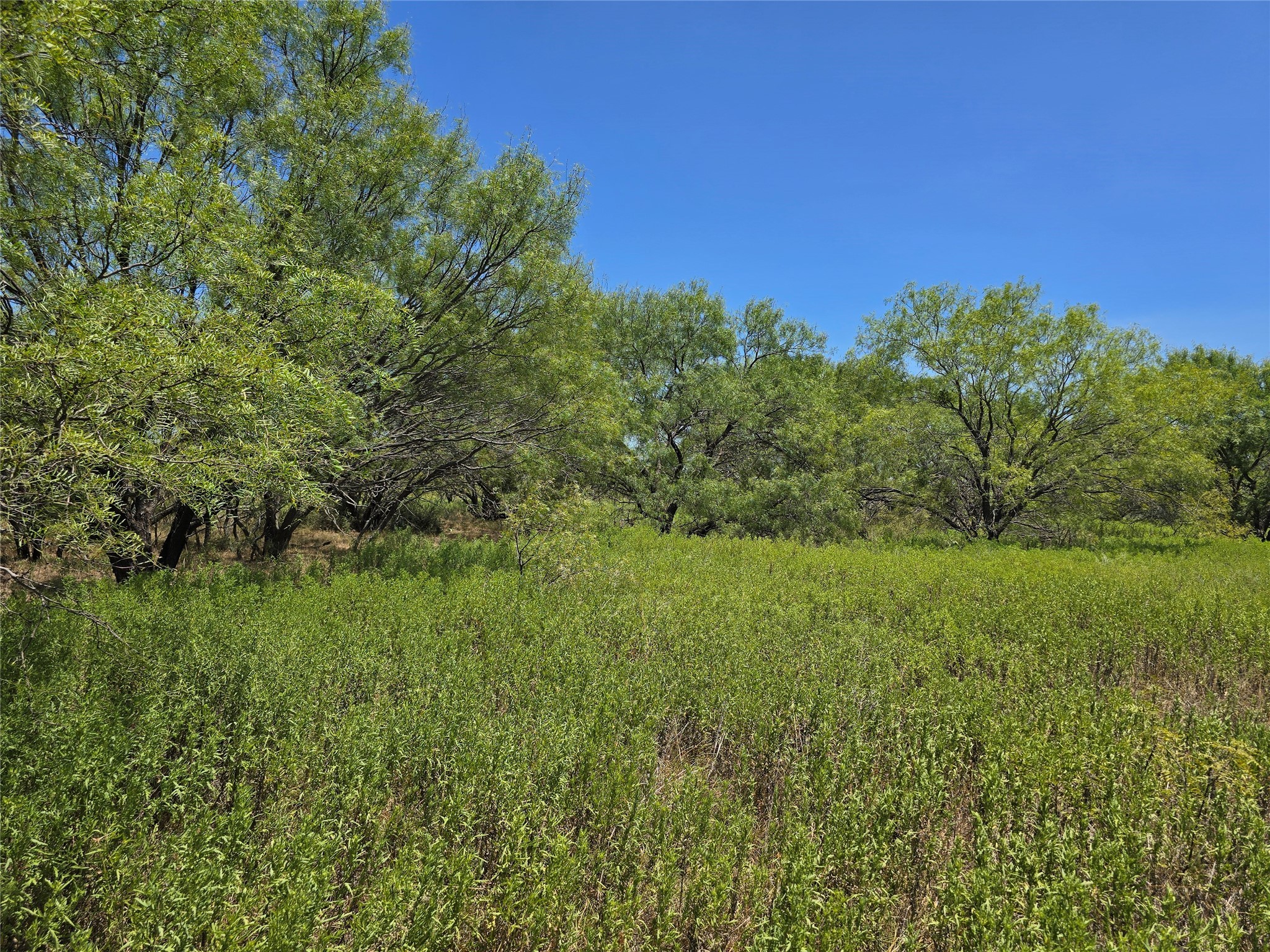 501 County Road 384 No City TX 76442