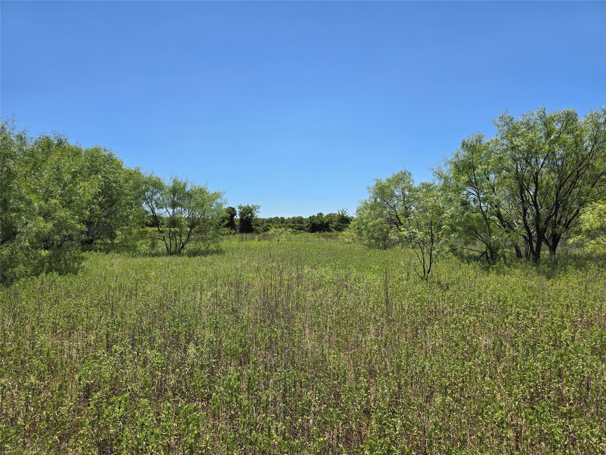 501 County Road 384 No City TX 76442