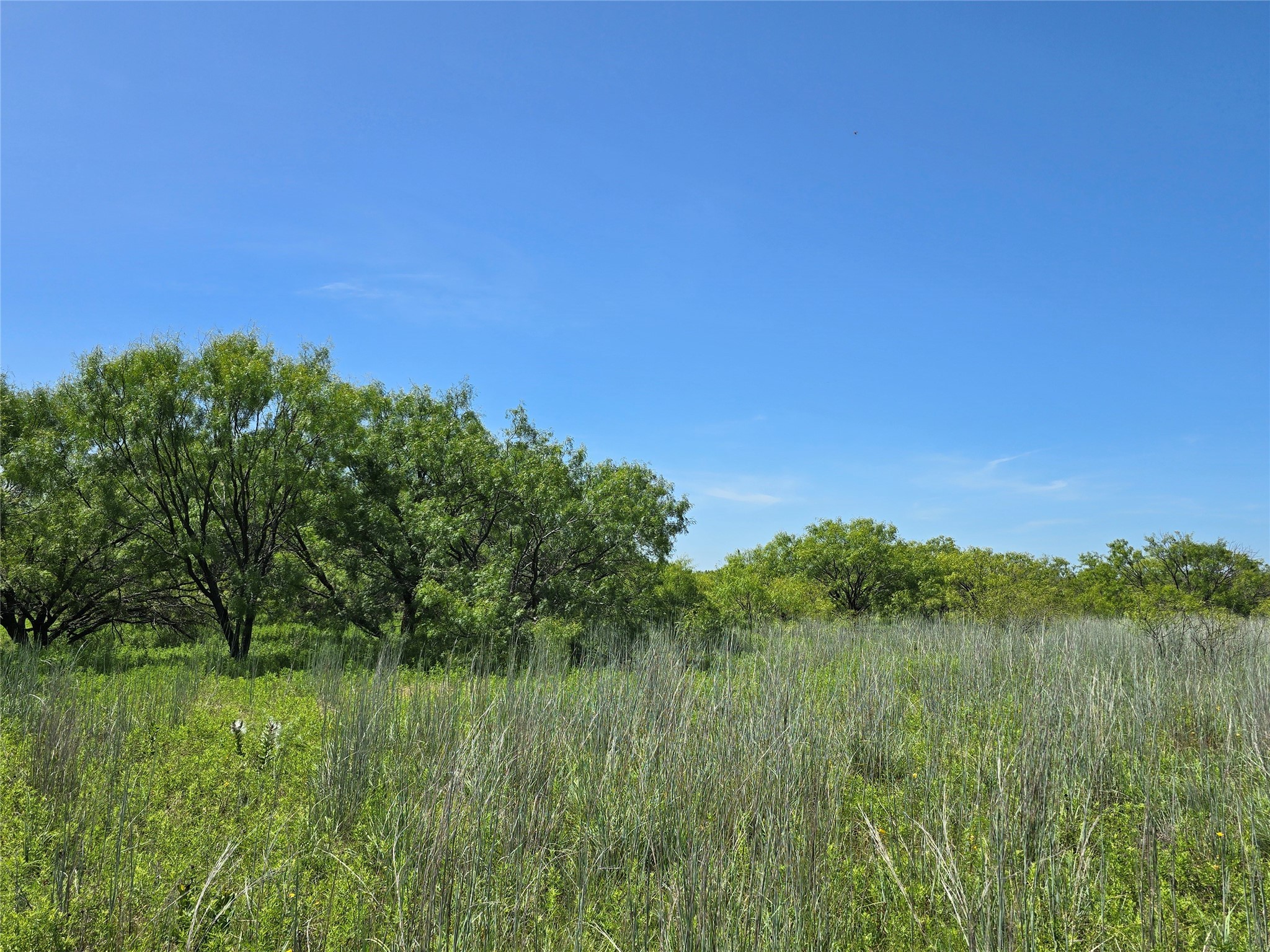 501 County Road 384 No City TX 76442