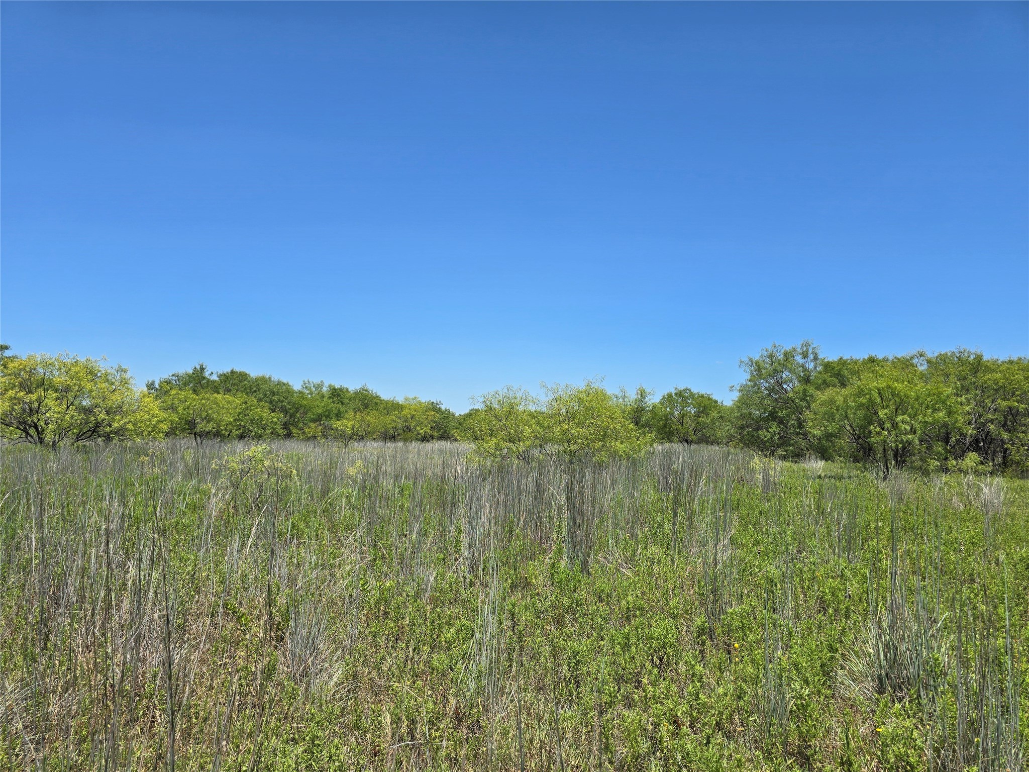 501 County Road 384 No City TX 76442