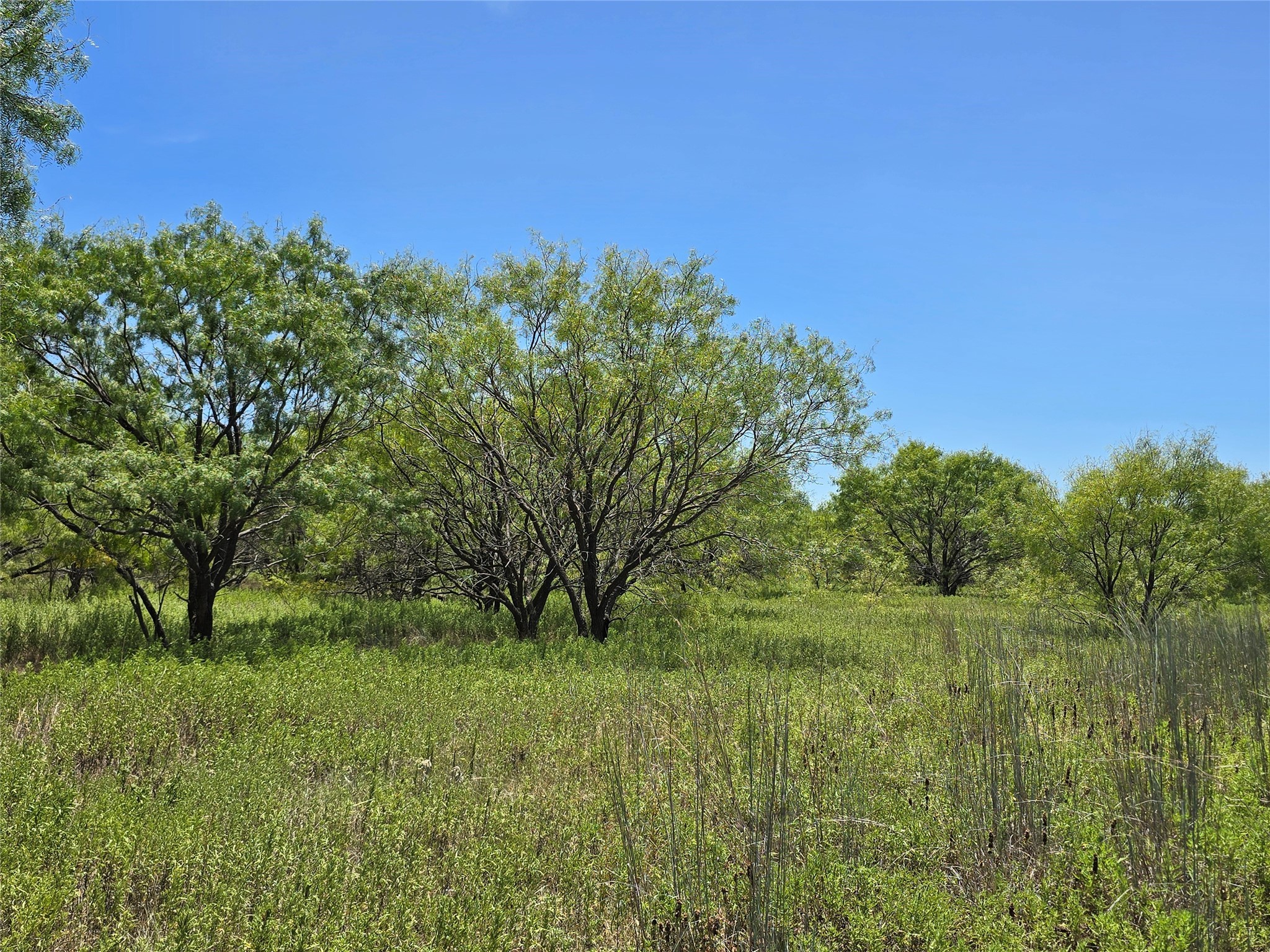 501 County Road 384 No City TX 76442