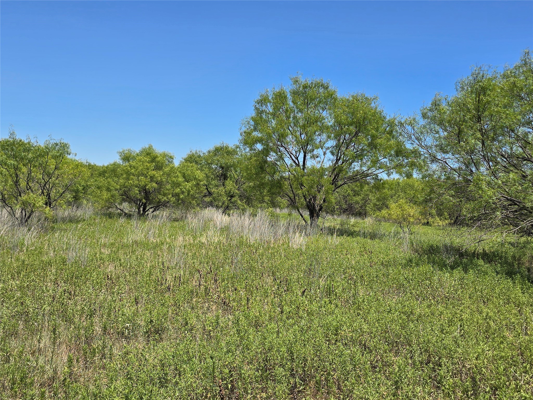501 County Road 384 No City TX 76442