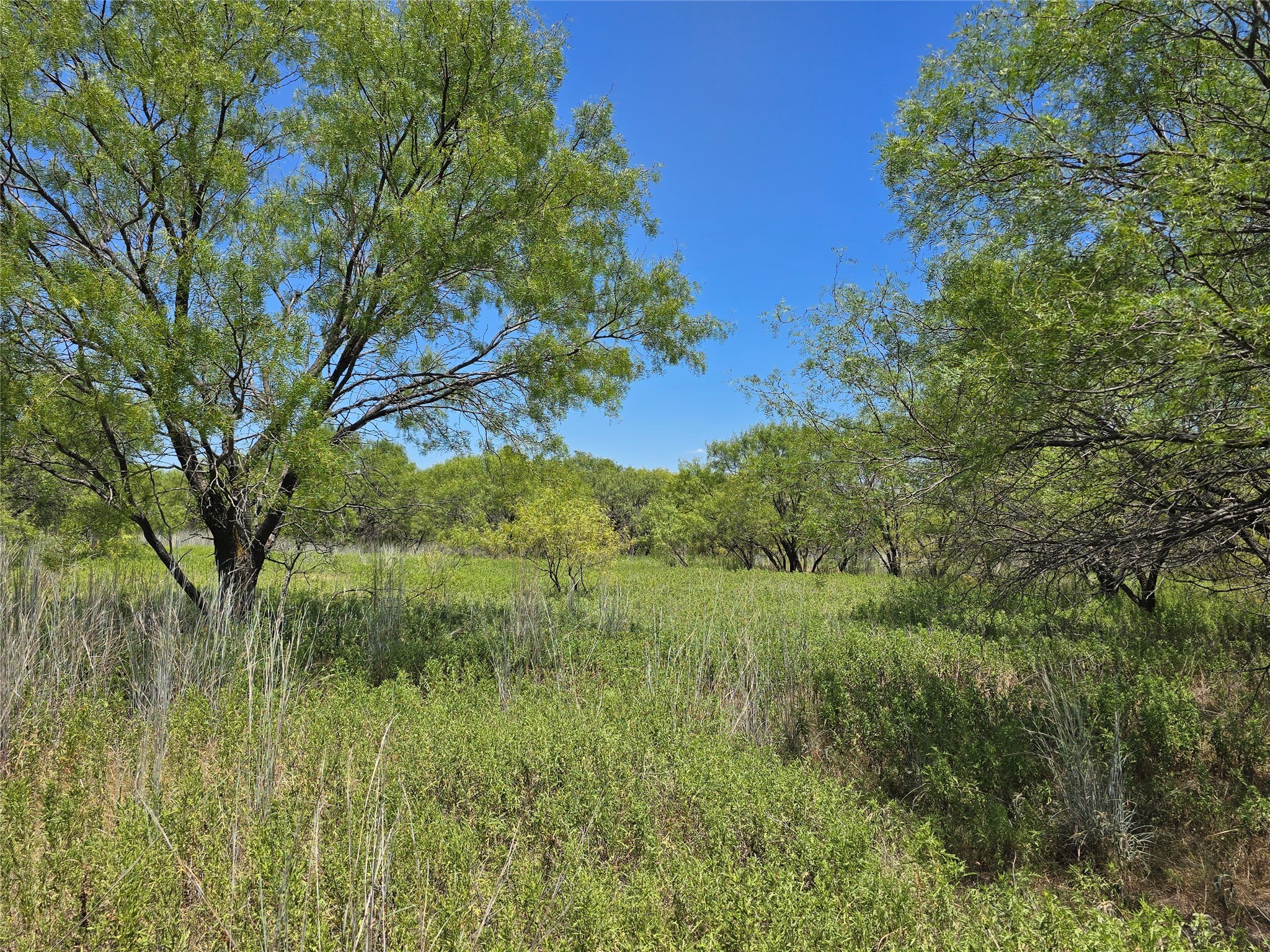 501 County Road 384 No City TX 76442