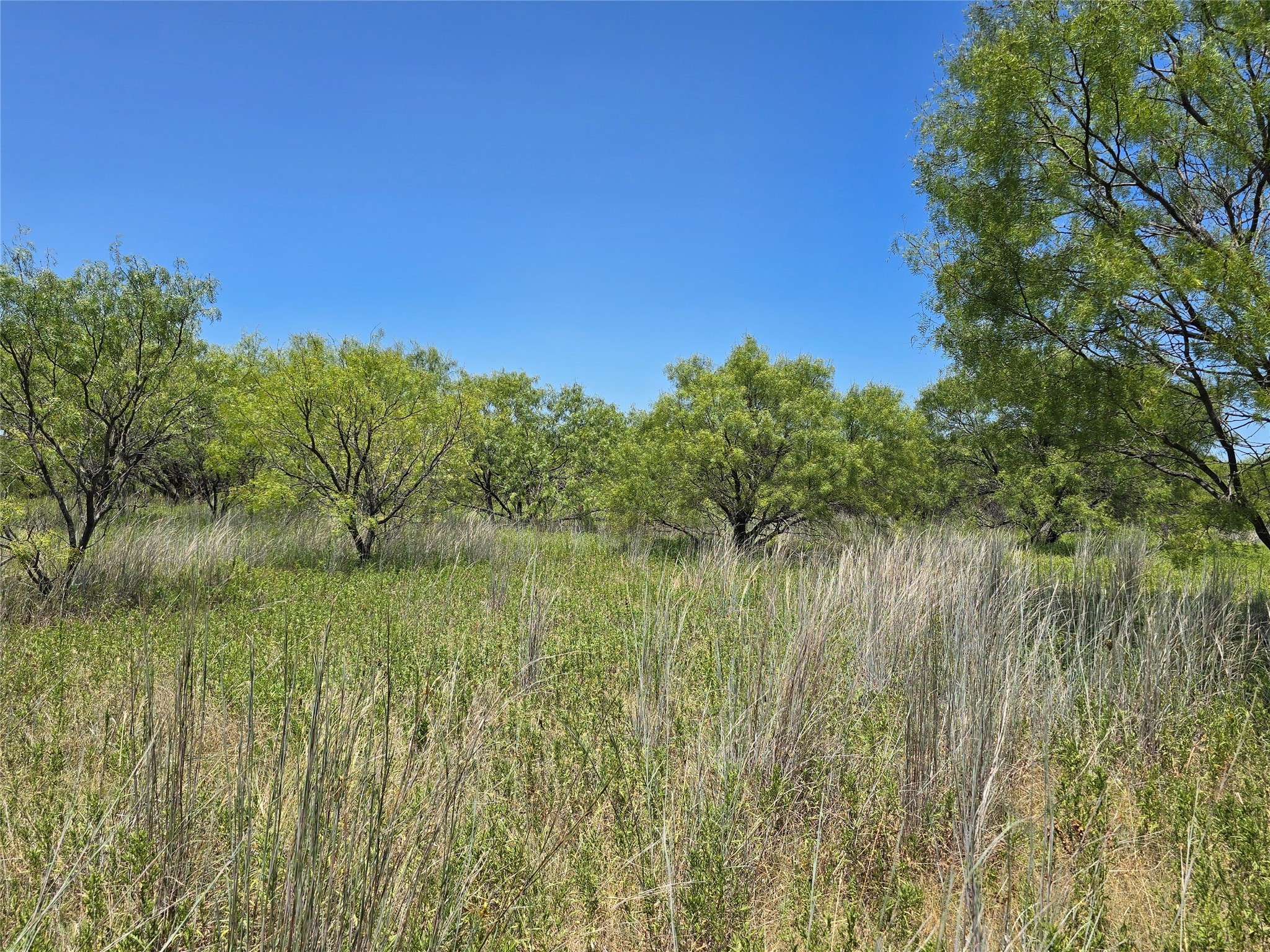 501 County Road 384 No City TX 76442