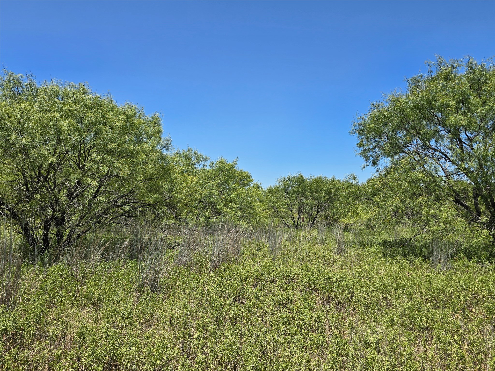501 County Road 384 No City TX 76442