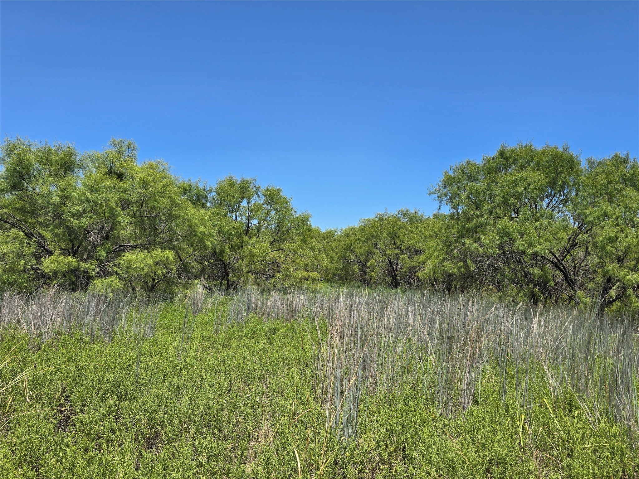 501 County Road 384 No City TX 76442