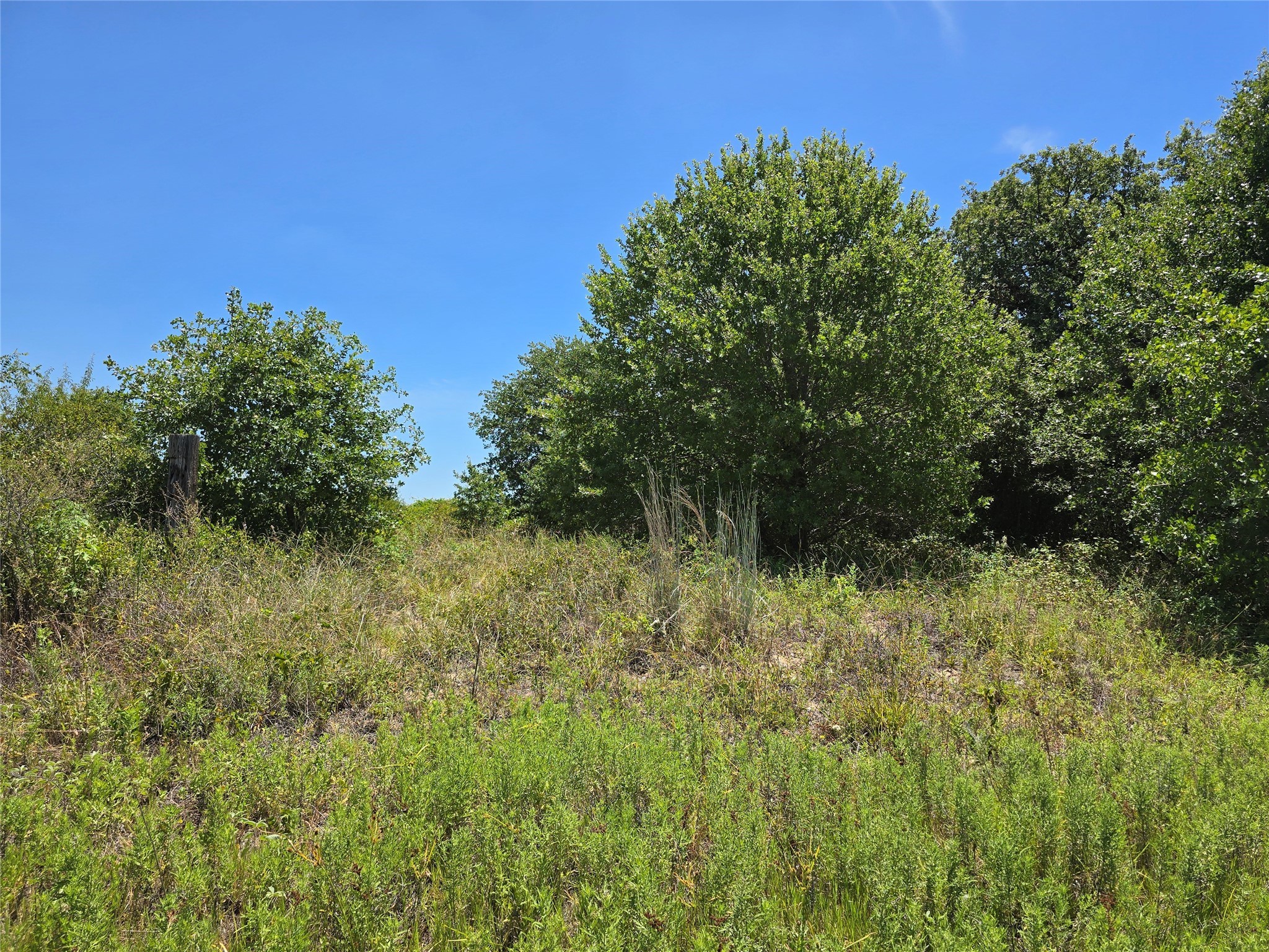 501 County Road 384 No City TX 76442