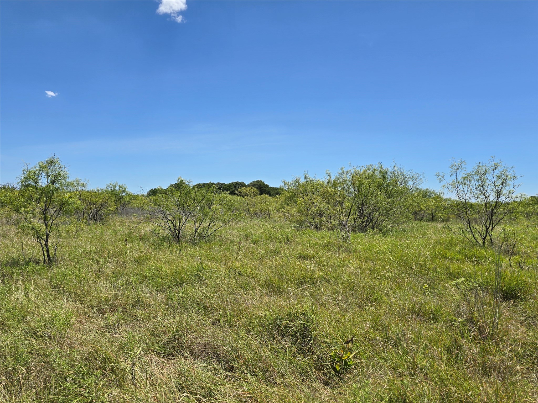 501 County Road 384 No City TX 76442