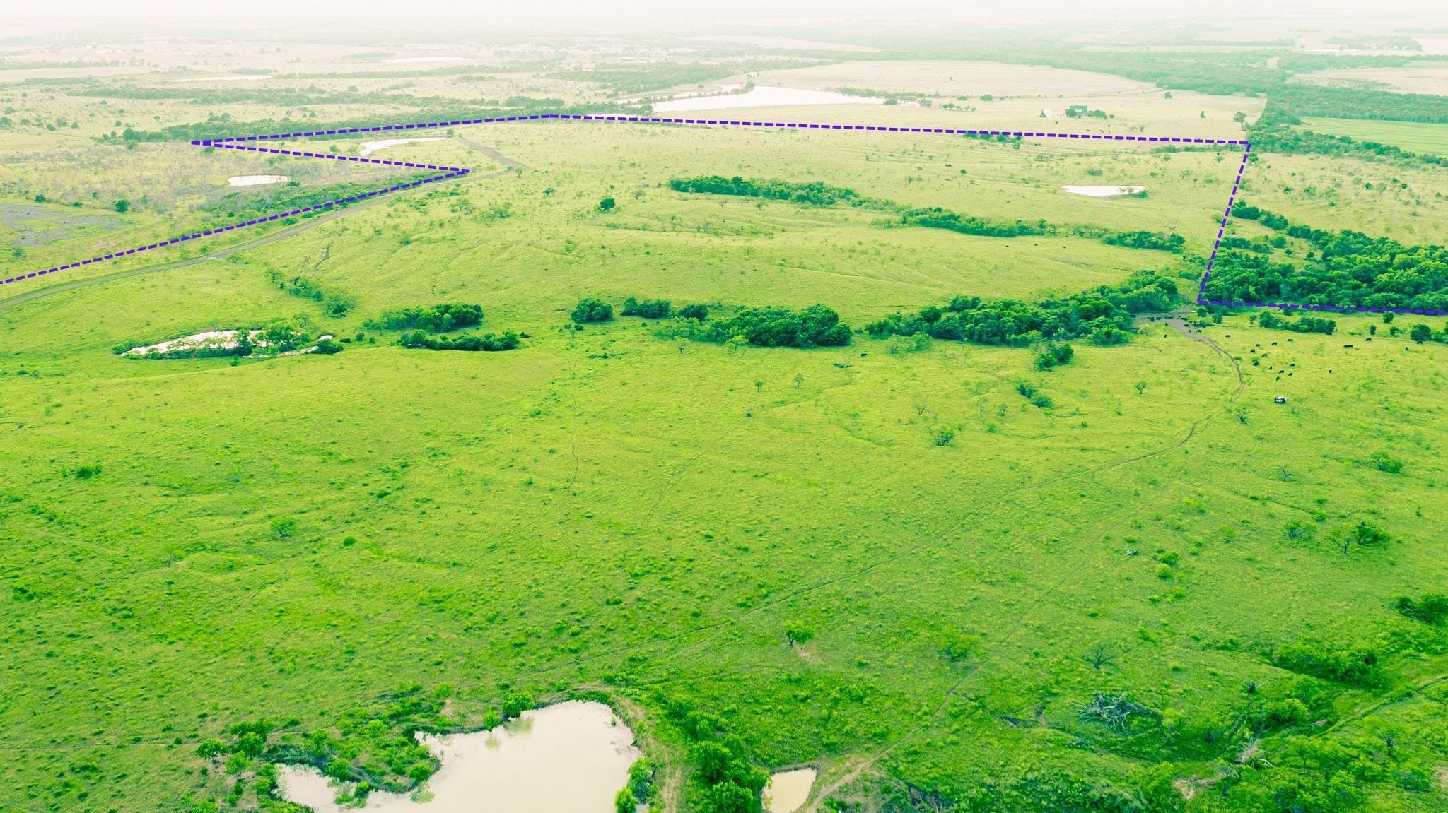 Tbd Goodwyn Road Italy TX 76163