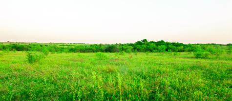Tbd Goodwyn Road Italy TX 76163