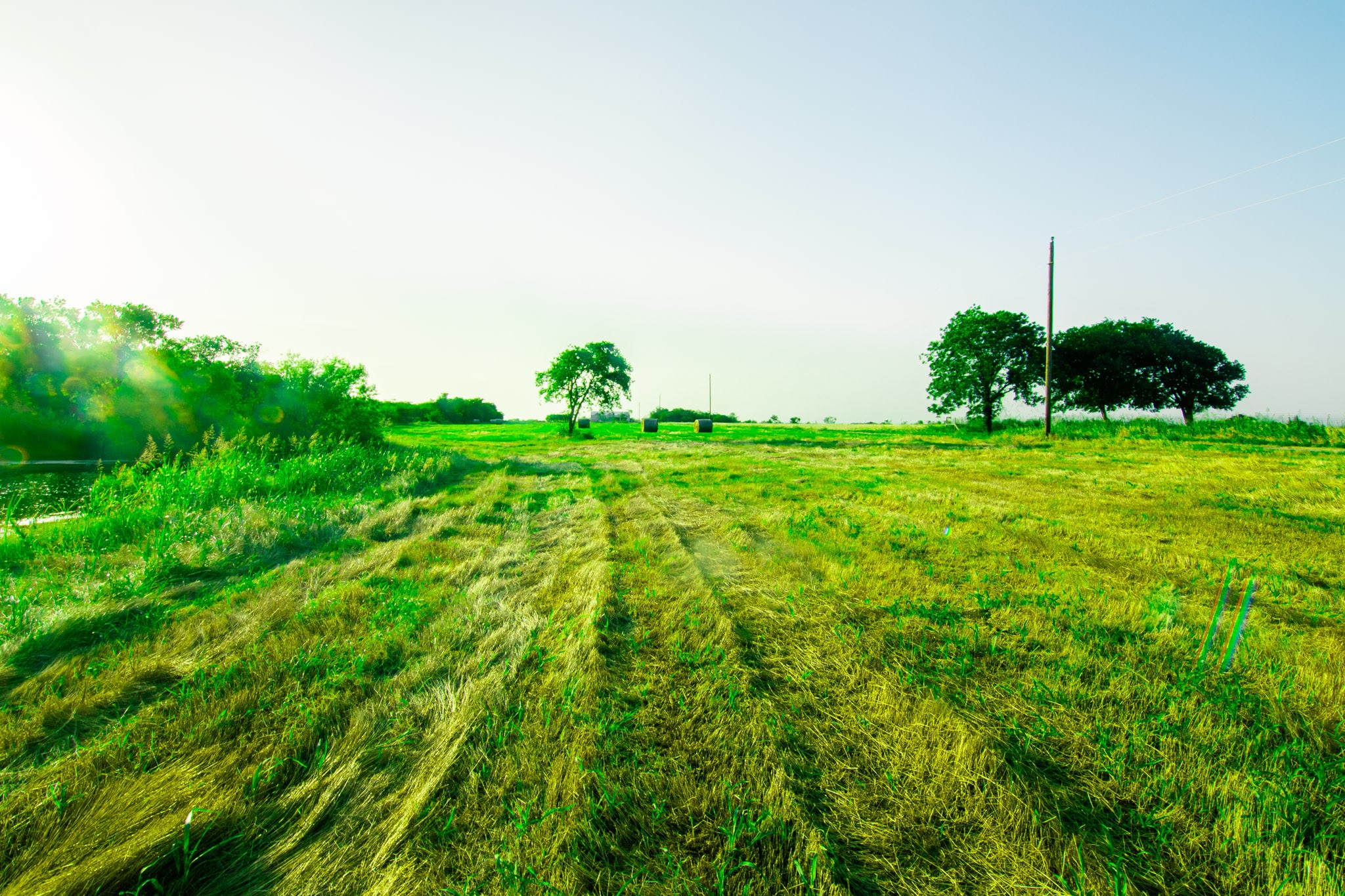 Tbd Goodwyn Road Italy TX 76163