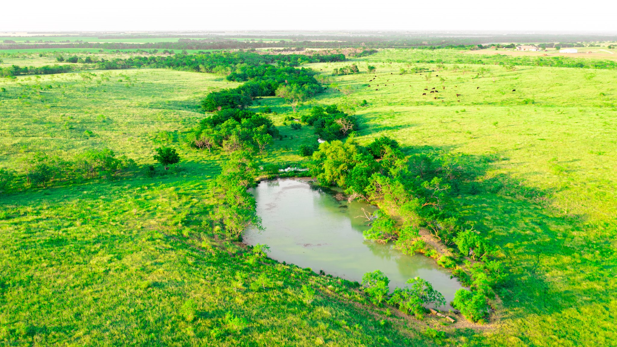 Tbd Goodwyn Road Italy TX 76163