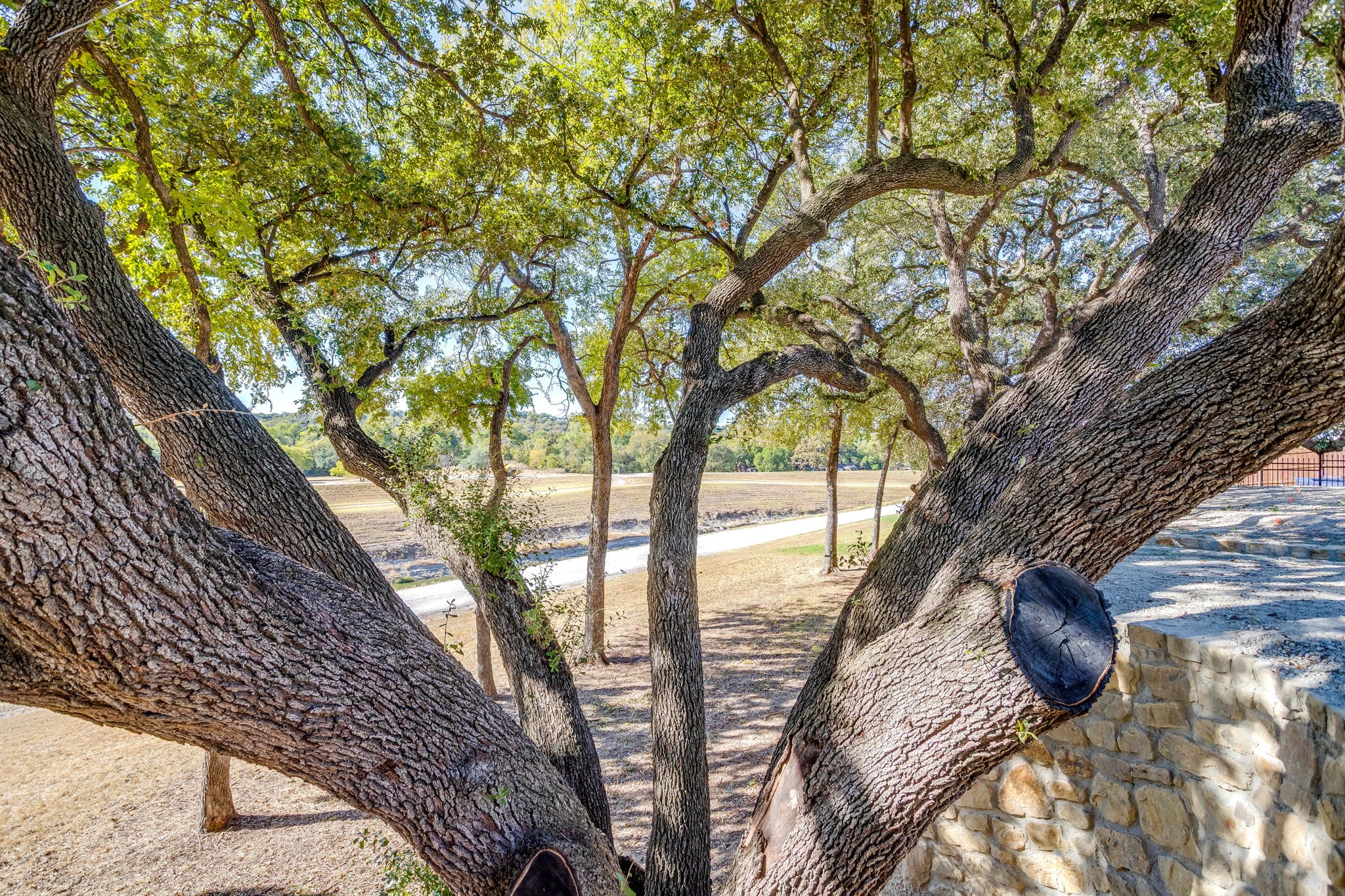 628 Athenia Drive Fort Worth TX 76114