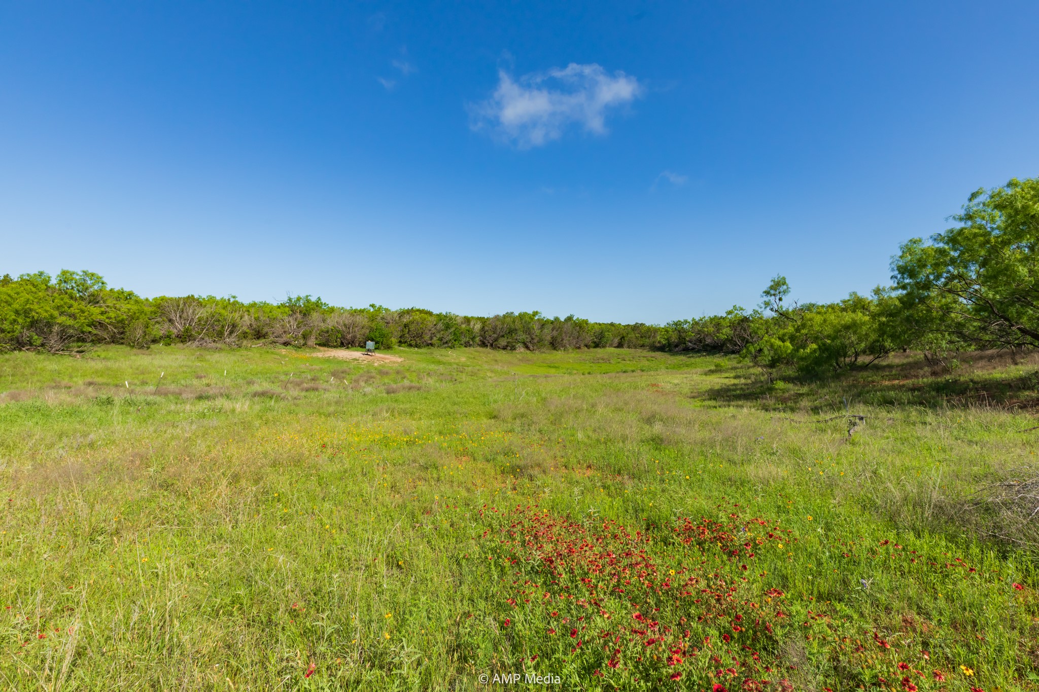 Tbd Fm 2035 Sweetwater TX 79556