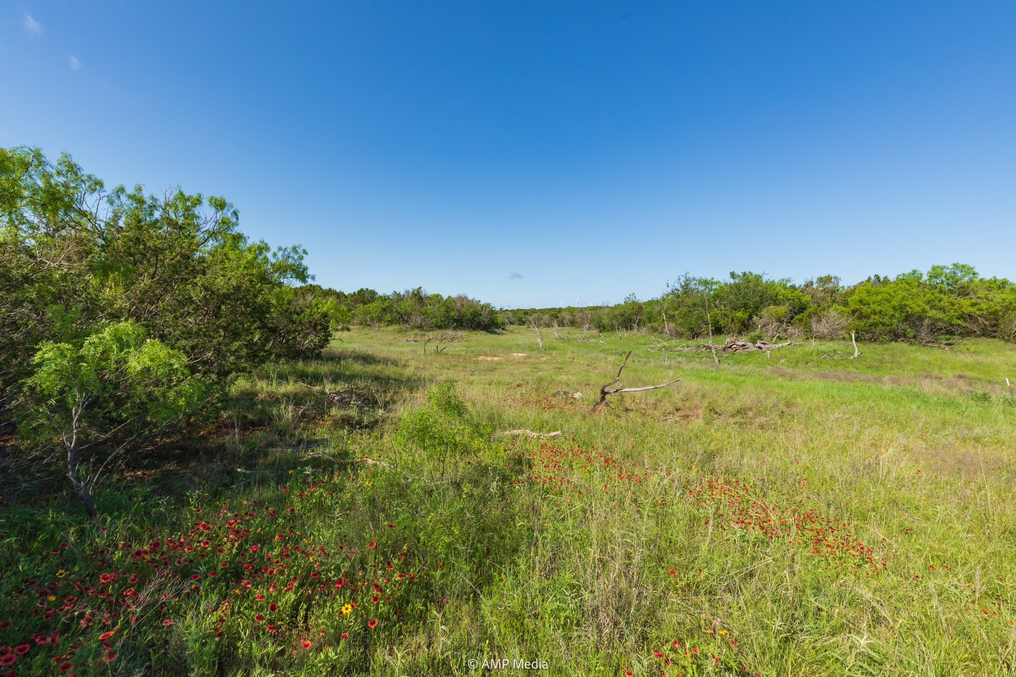 Tbd Fm 2035 Sweetwater TX 79556